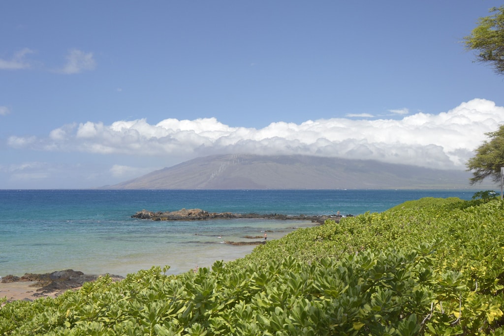 Kamaole 3 beach park