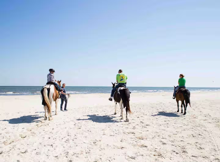 Unforgettable beach horseback riding