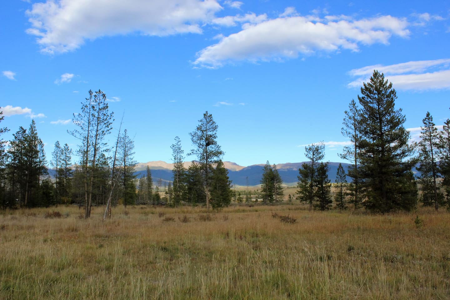 Wedding Venue - Ceremony Area