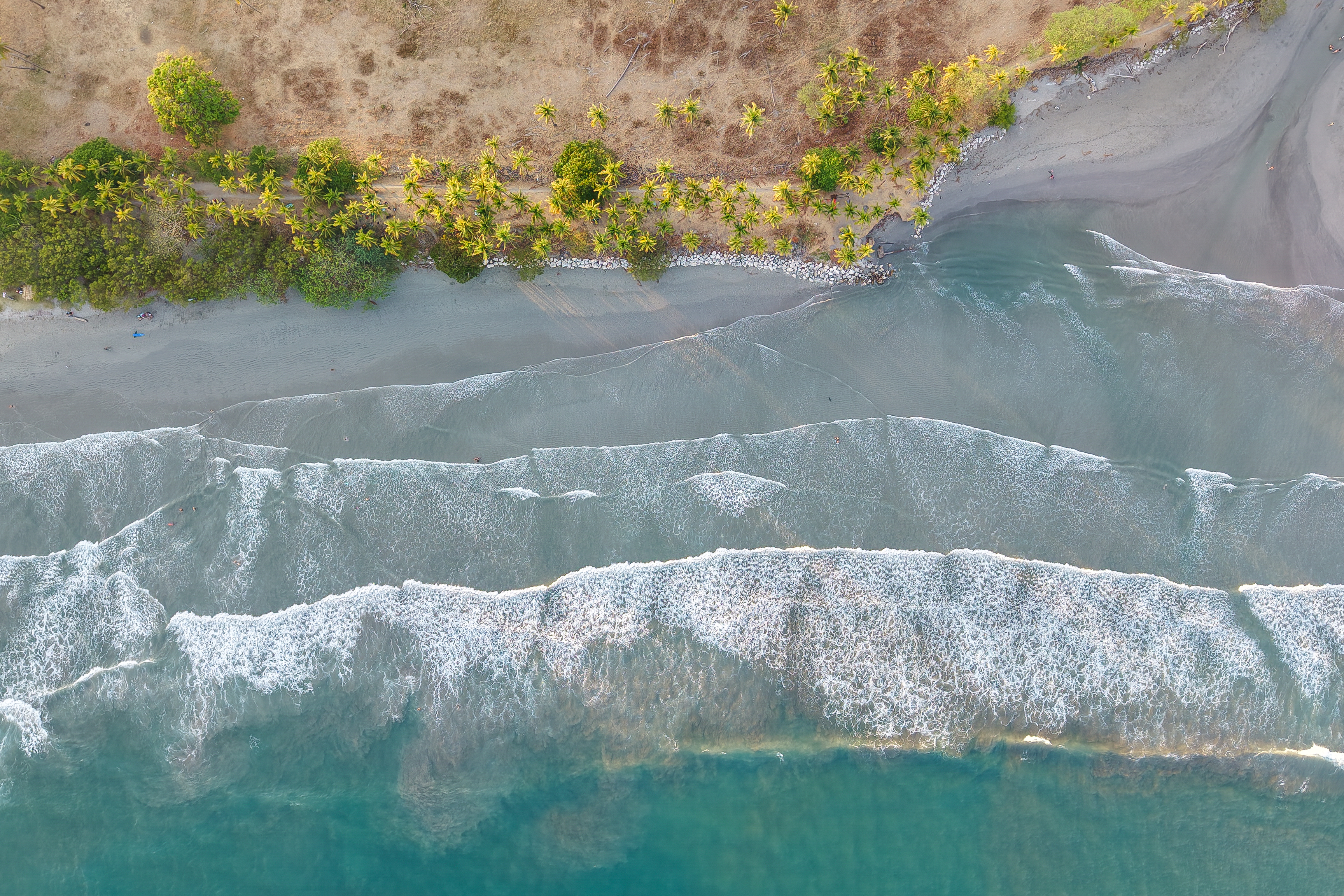 Palm-lined shore and turquoise water. That’s the neighborhood.