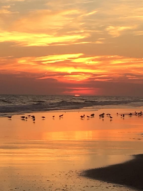 September Sunset