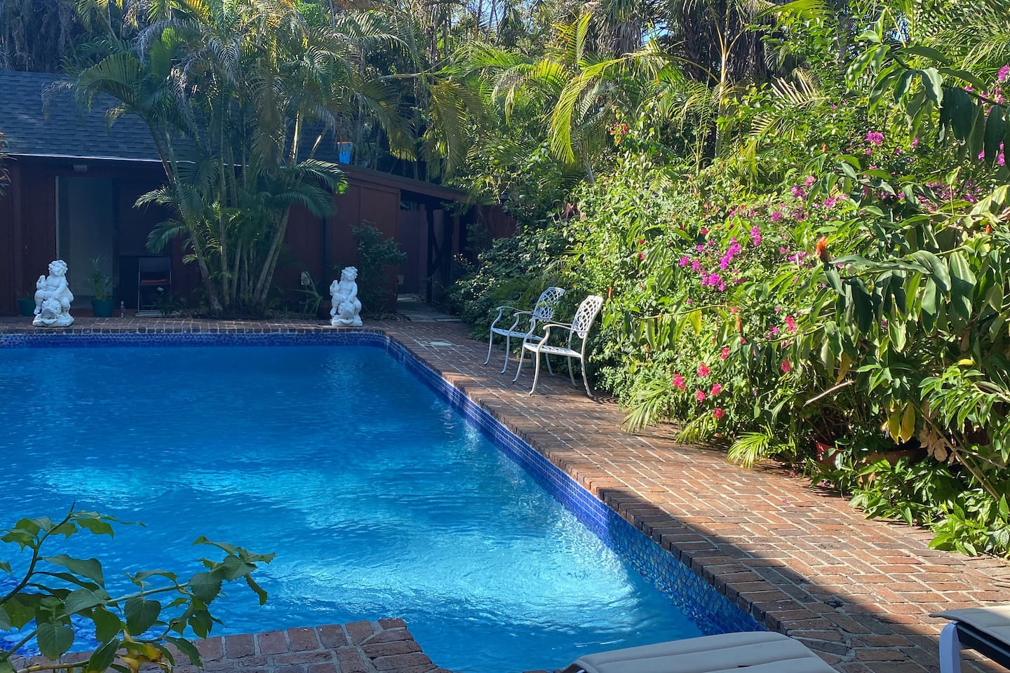 Lush vegetation around the swimming pool