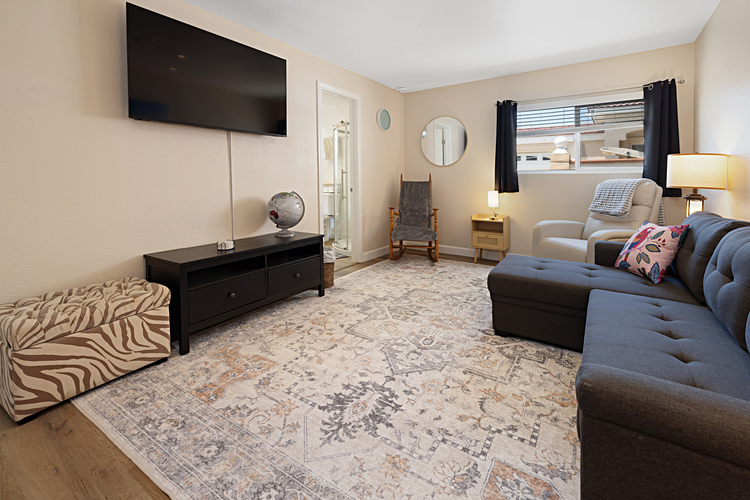 Family room equipped with convertible sofa bed.