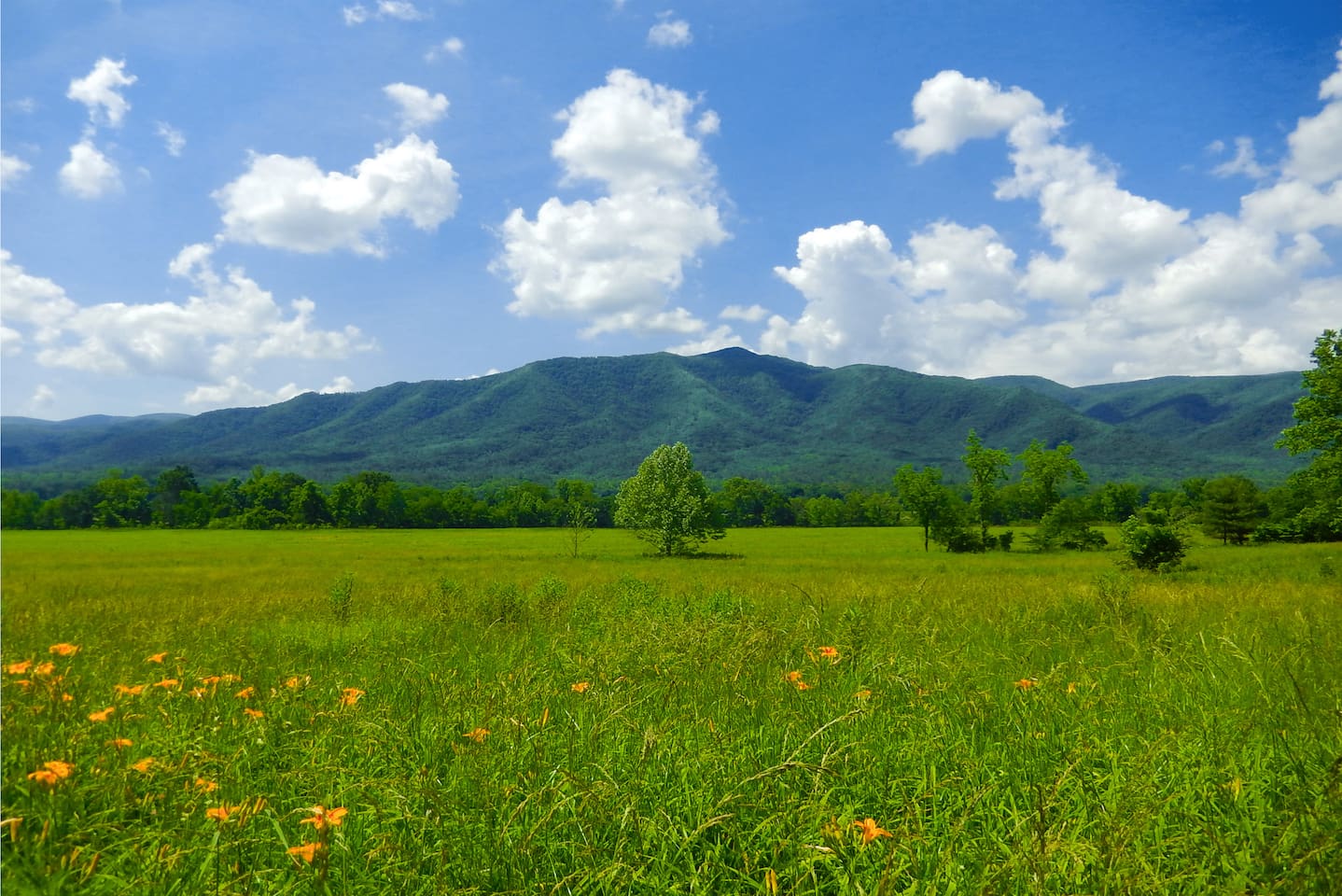 Open pasture in the Smoky Mountain National Park.