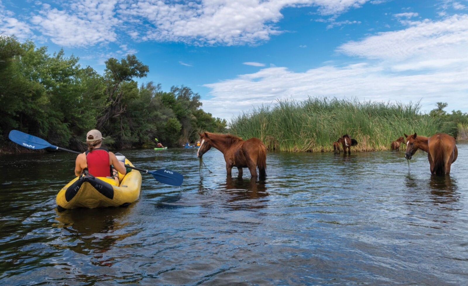 Paddle alongside wild horses in a once-in-a-lifetime desert river experience that brings the magic of Arizona to life.