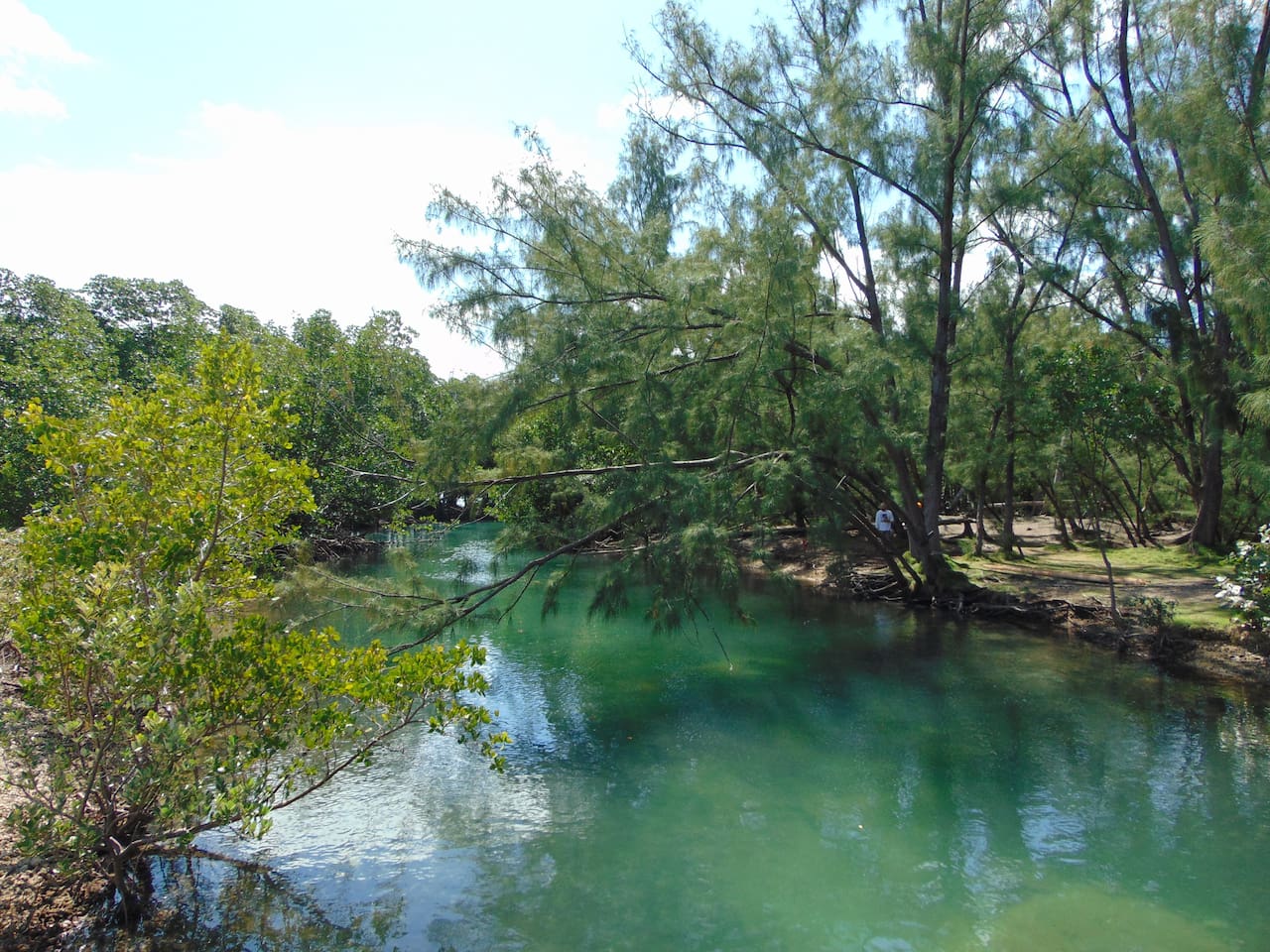 Arch Creek East Environmental Preserve