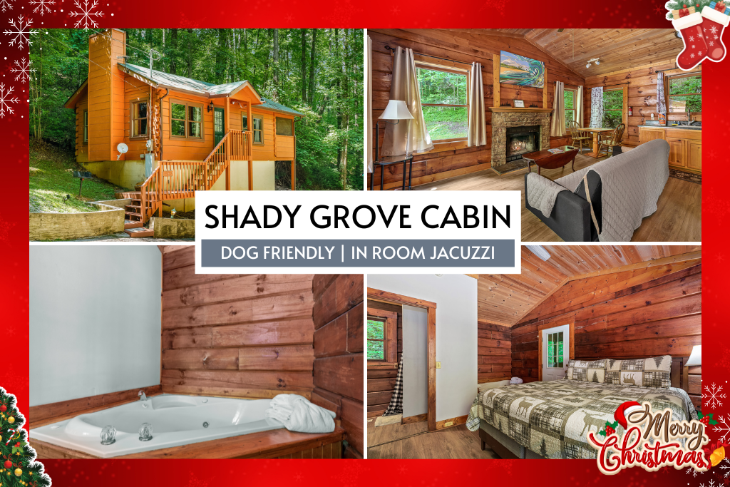 Welcome to Shady Grove Cabin – your private, dog-friendly Smoky Mountain escape!