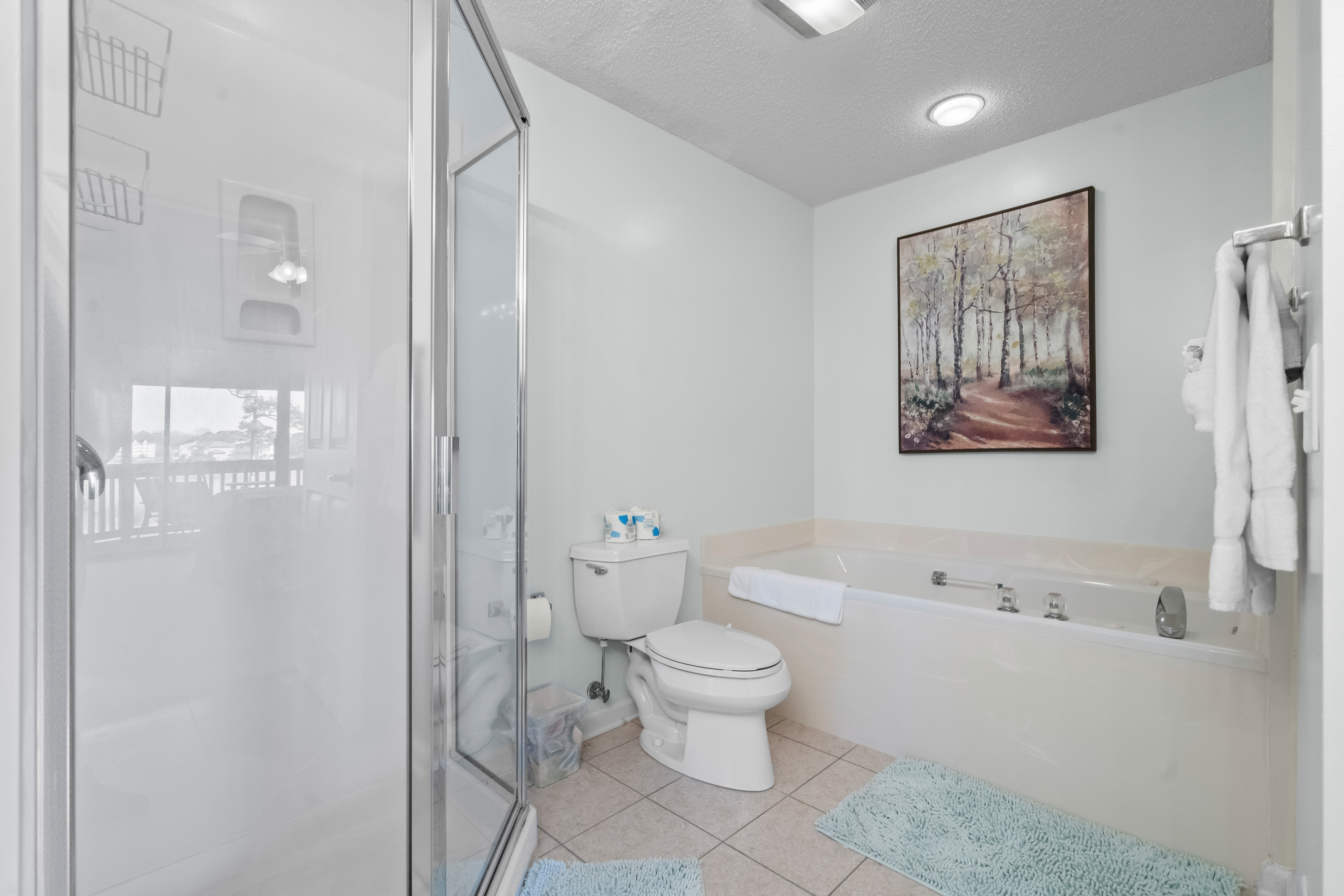Separate Shower and large garden tub.
