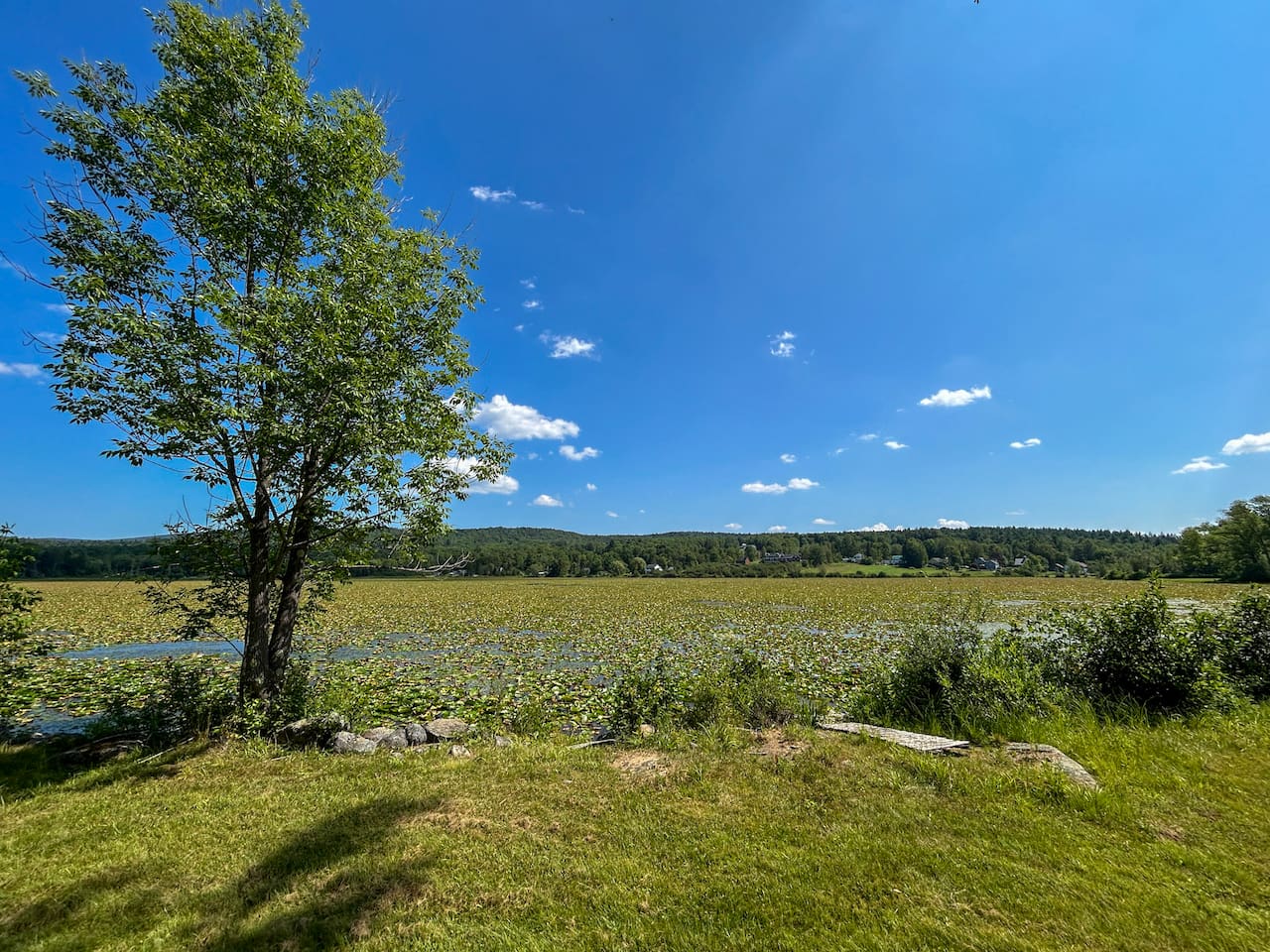 Star Lake is unfortunately covered in lily pads, which prevents swimming or boating, but it still provides a scenic and peaceful view