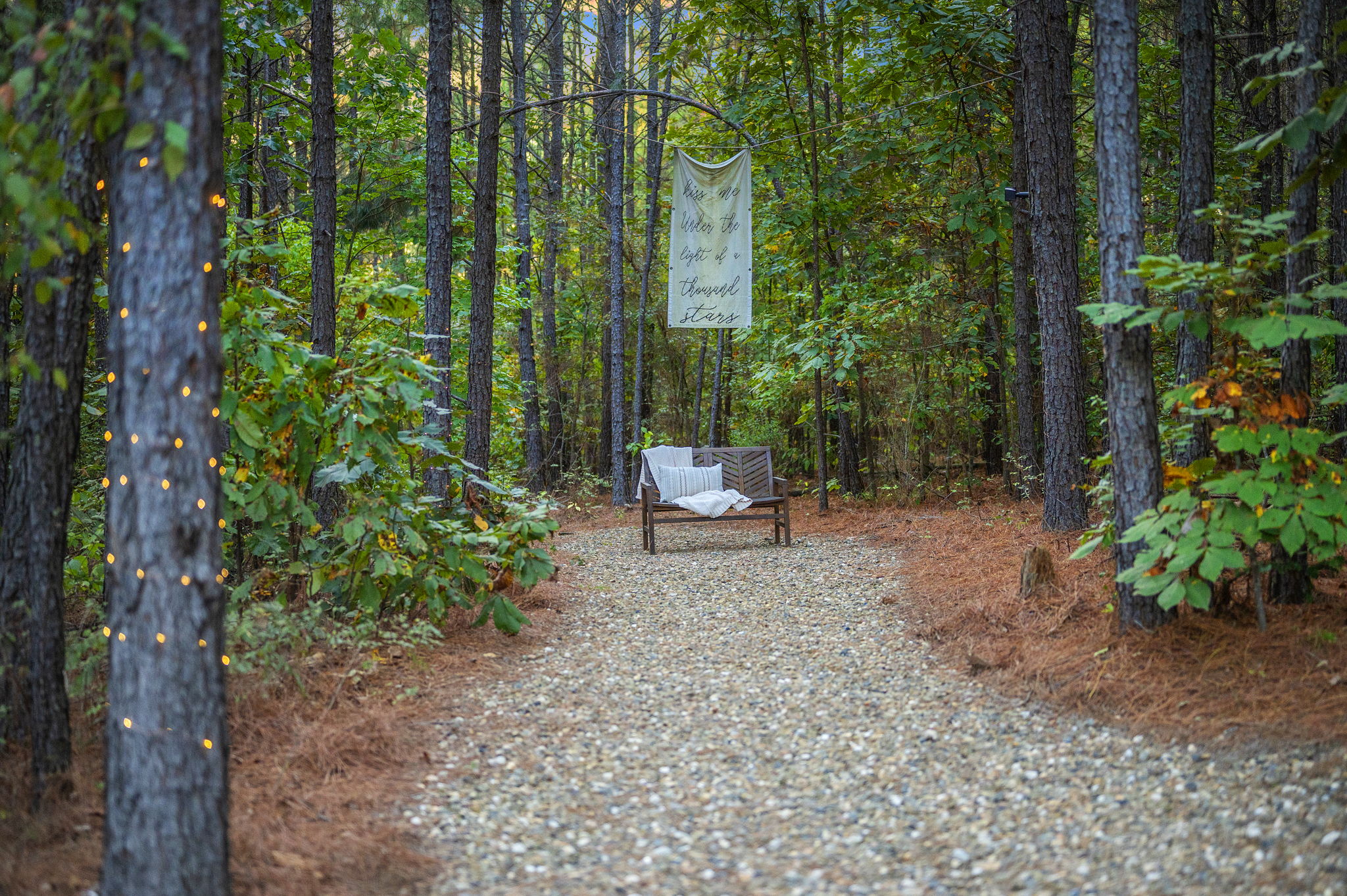 Your New Favorite Place + Private Outdoor Oasis + Disc Golf + Firewood Provided 3