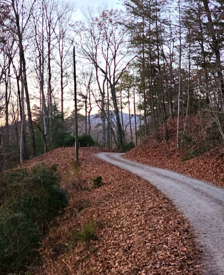 road in front of our cabin