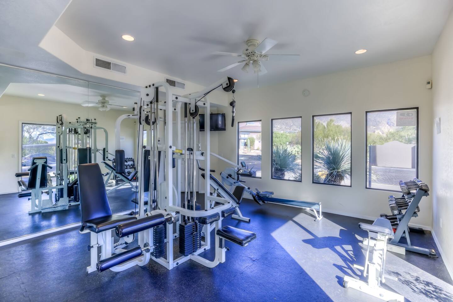 Community Gym Weights