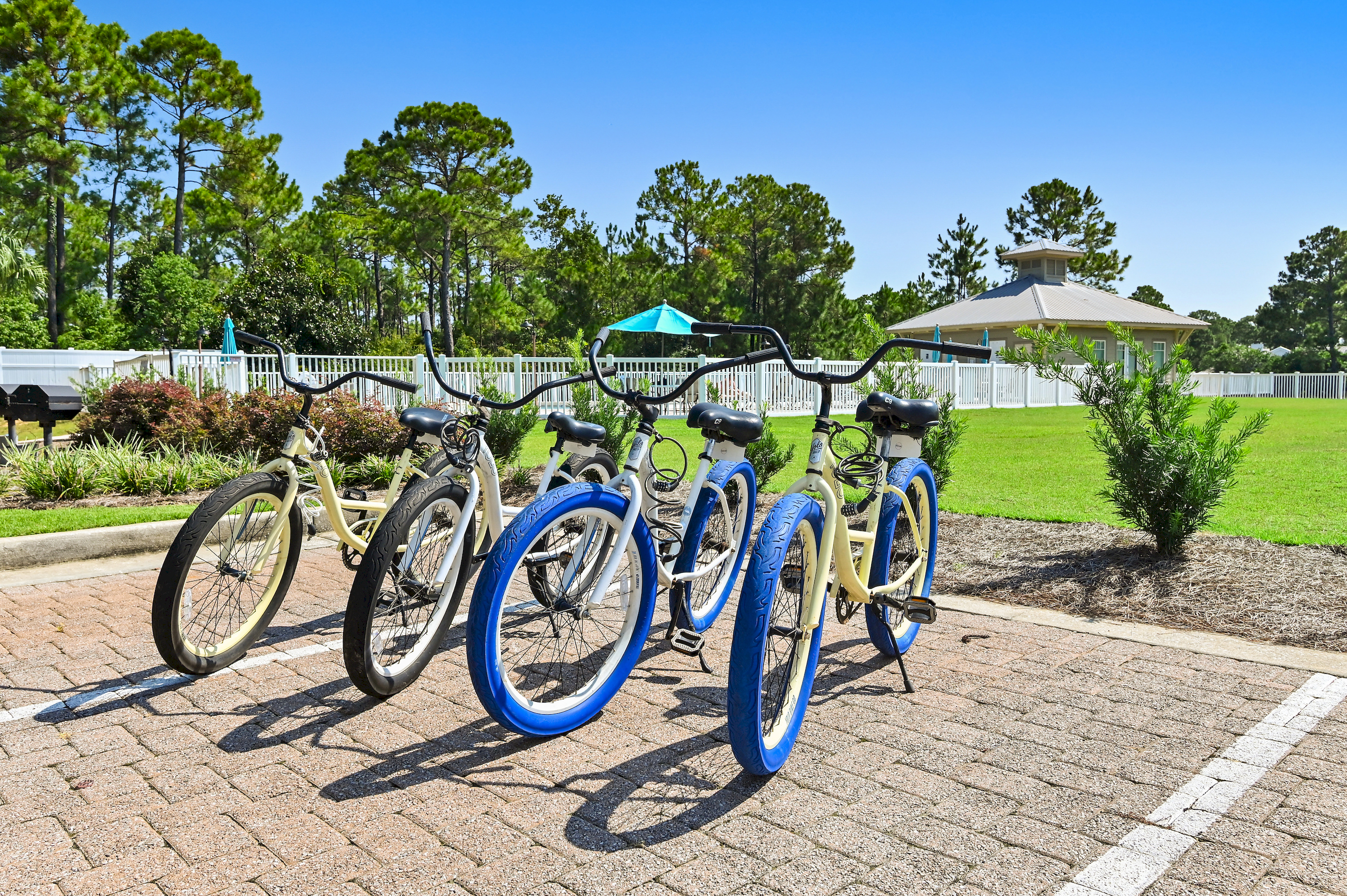 4 Adult Cruisers Available to Use