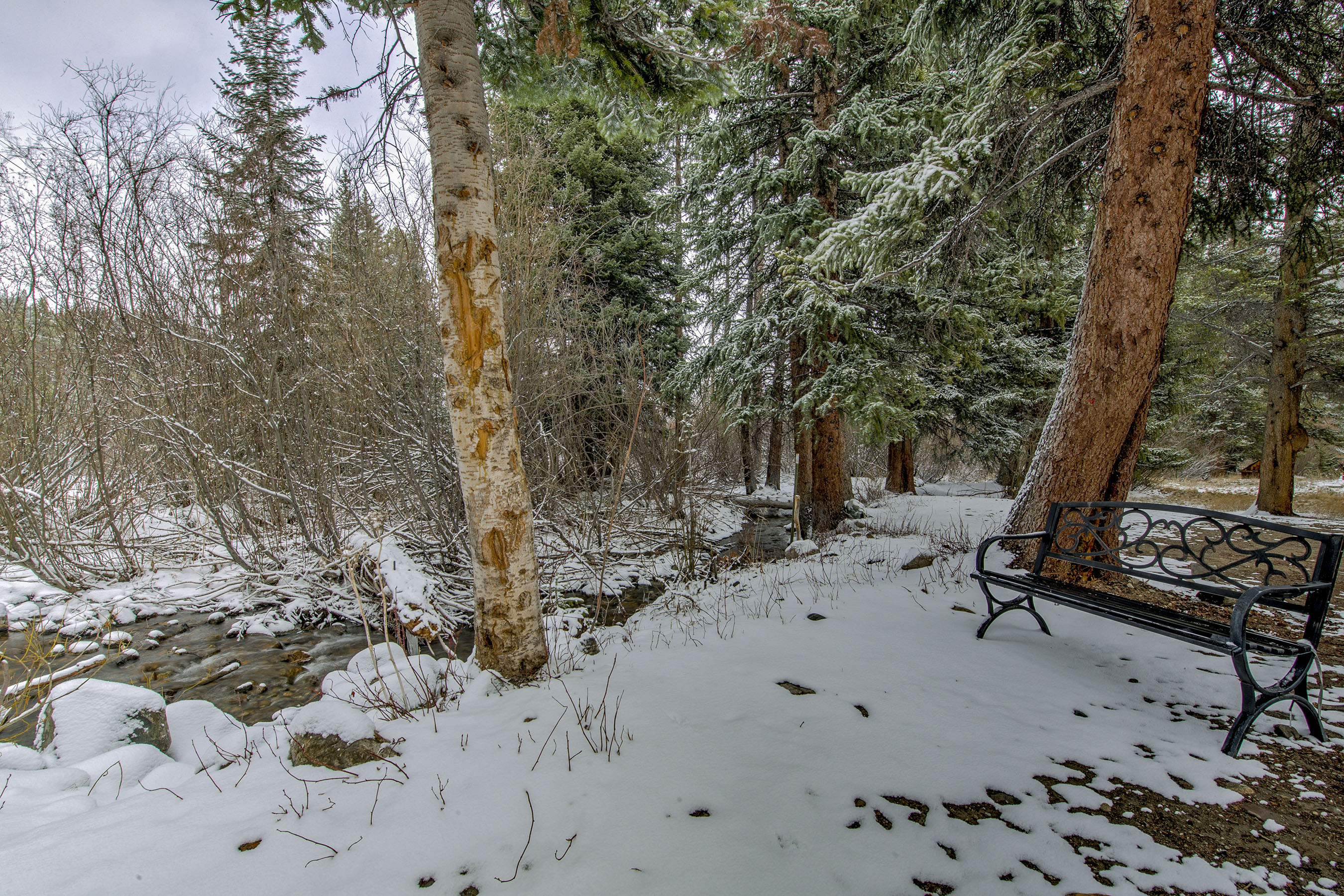 Step into your winter escape—snowy trees, a peaceful creek, and a quiet bench invite you to slow down and savor the calm, all just for you.