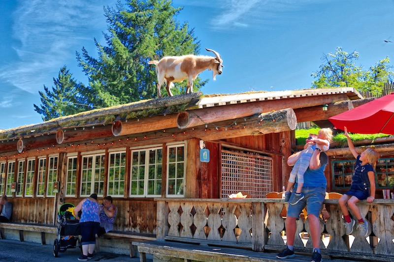 Coombs Country Market - a must-see!