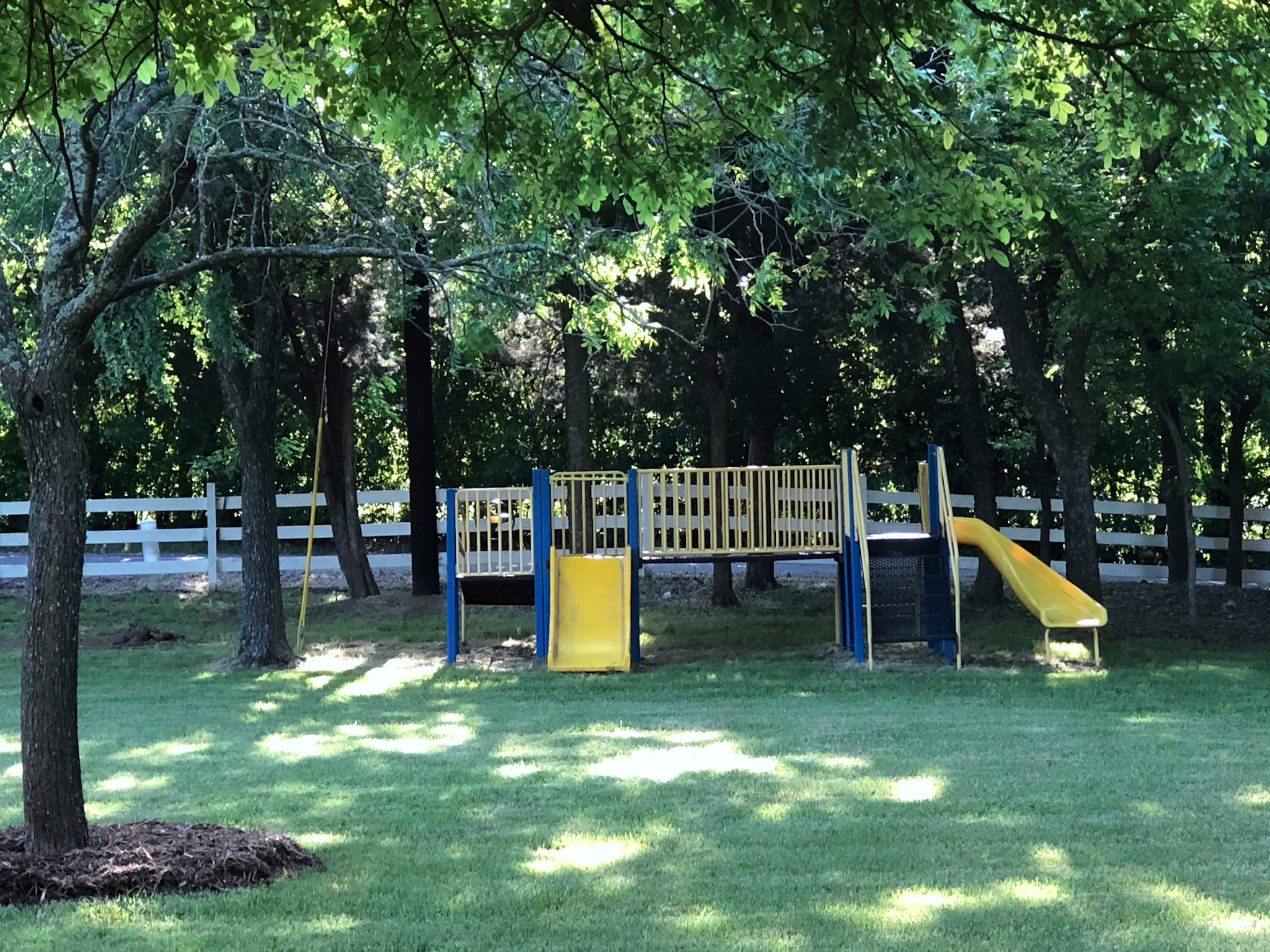 Something for everyone, even the littles!