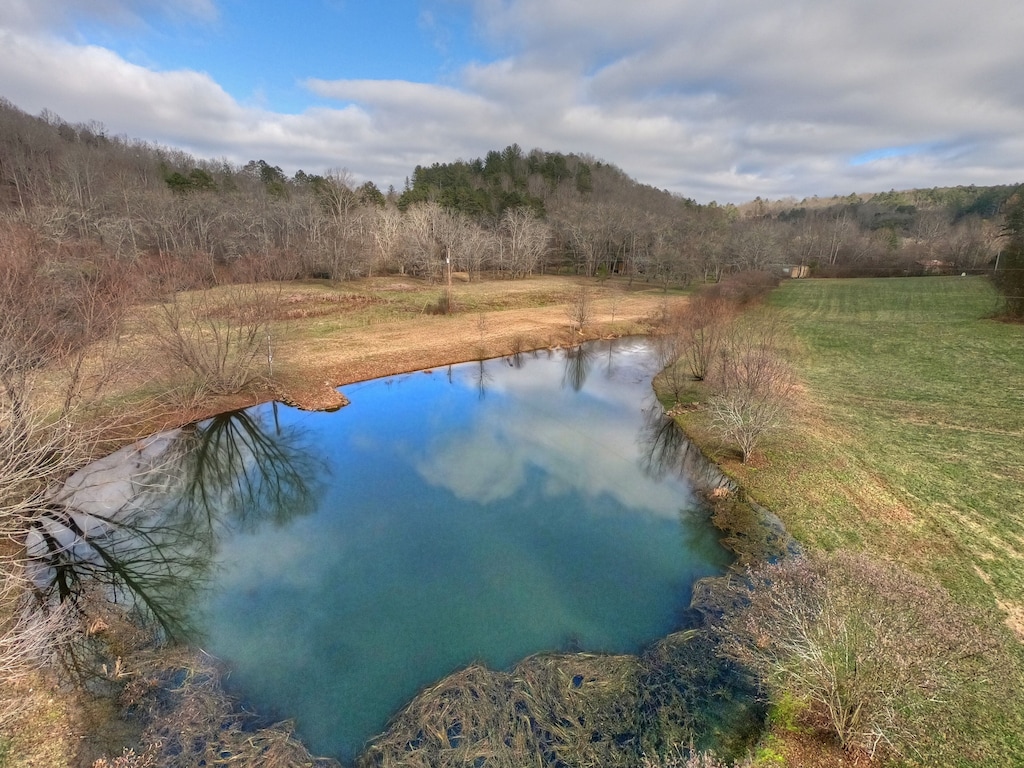 Stocked pond