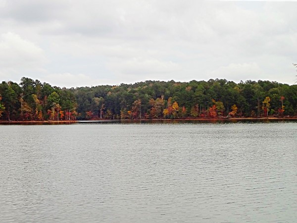 Fall views in Lake Wedowee