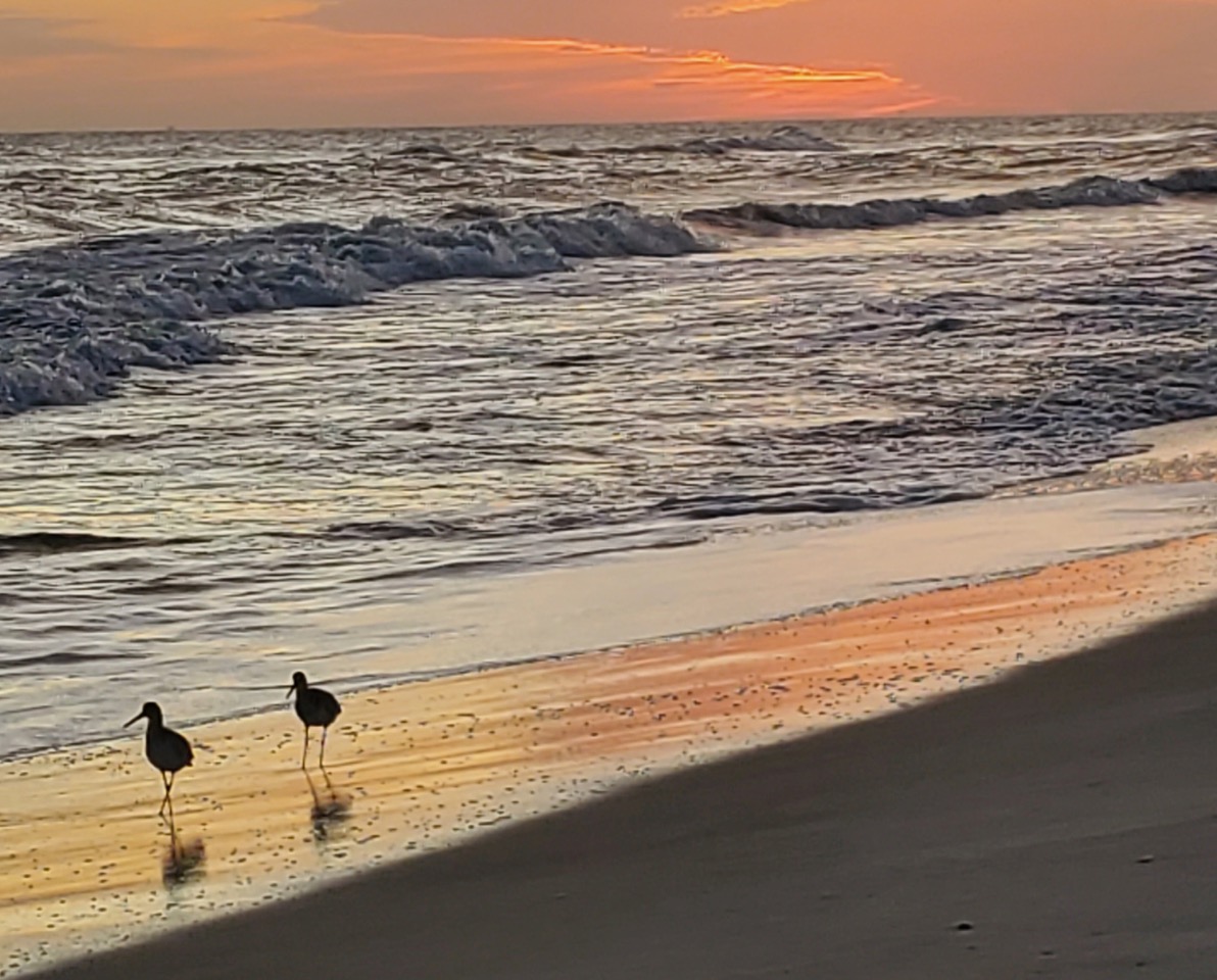 Just Strolling Along