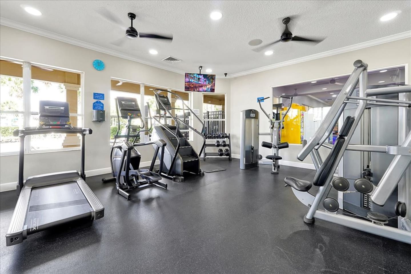 Treadmill, elliptical, stairmaster, free weights
