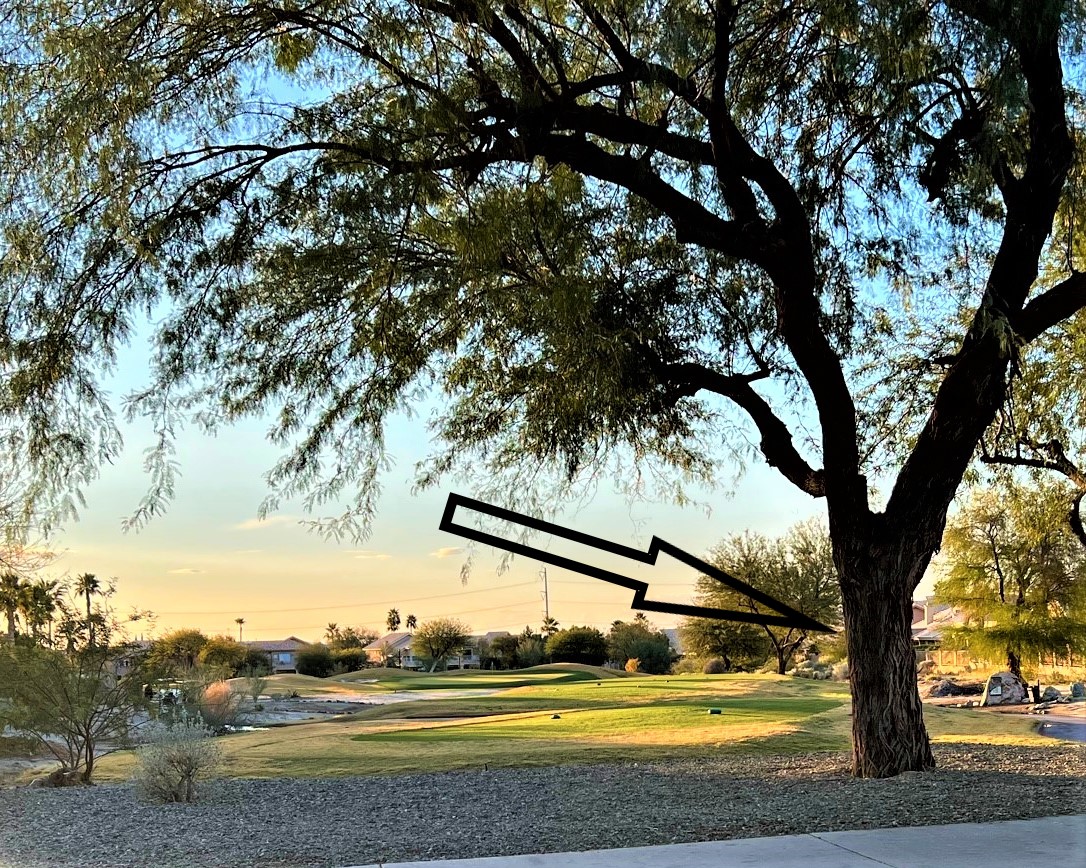 16th Tee Foothills Golf Club