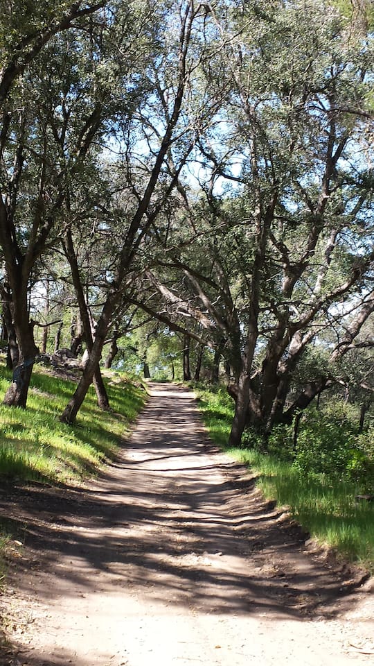 Road coming in to property