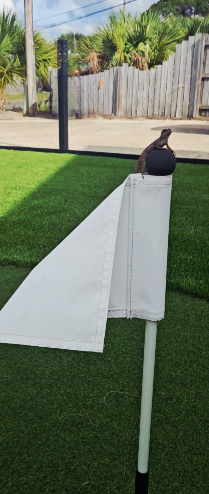 You never know who may join in on a round of Mini Golf !