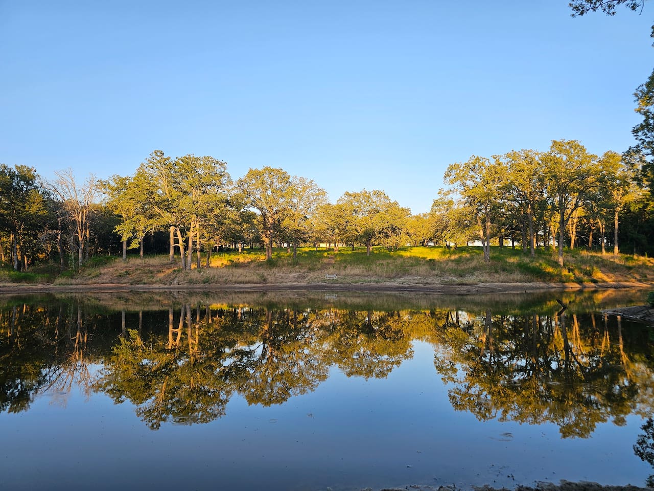 A view of the pond