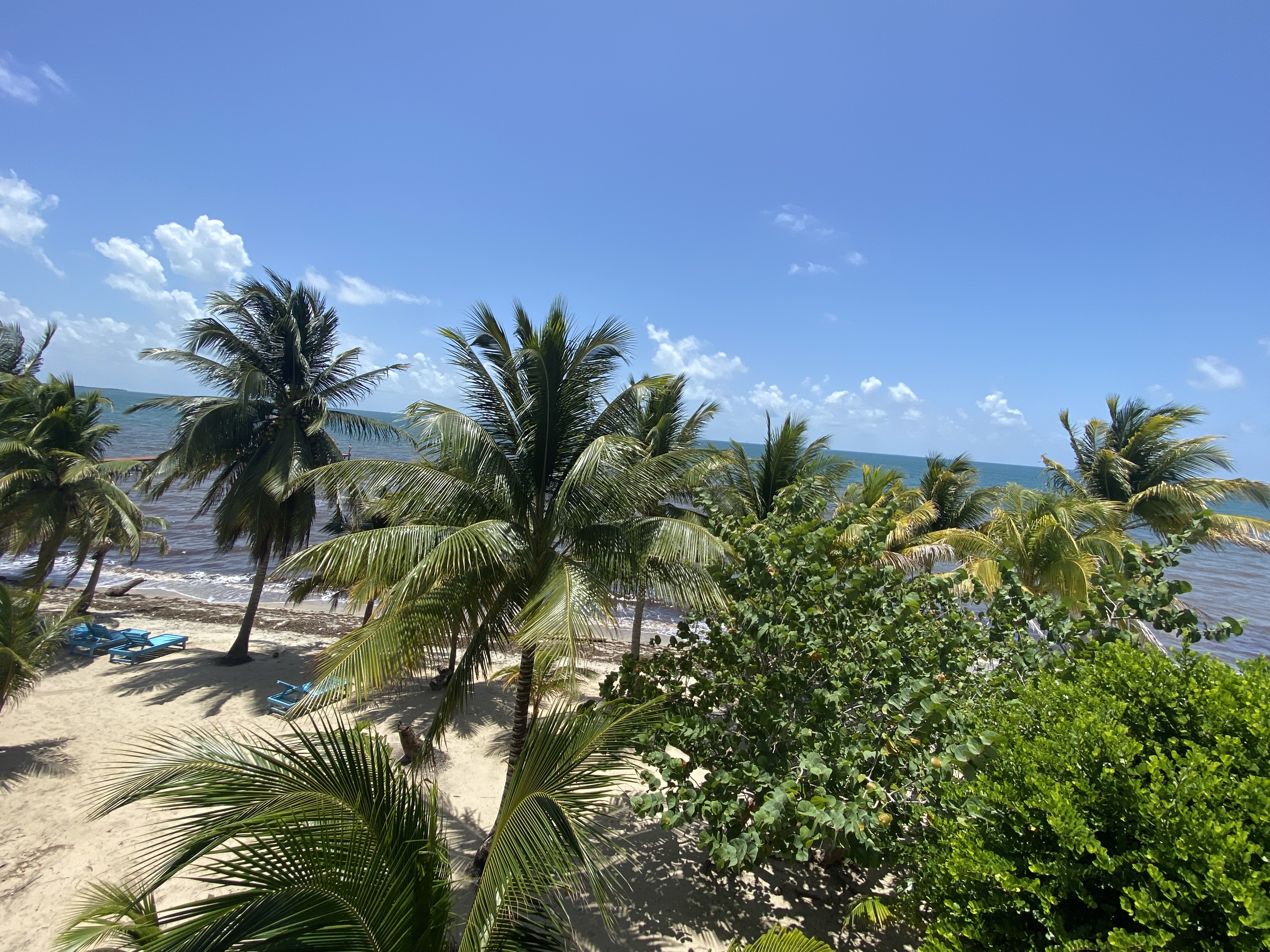 View 9