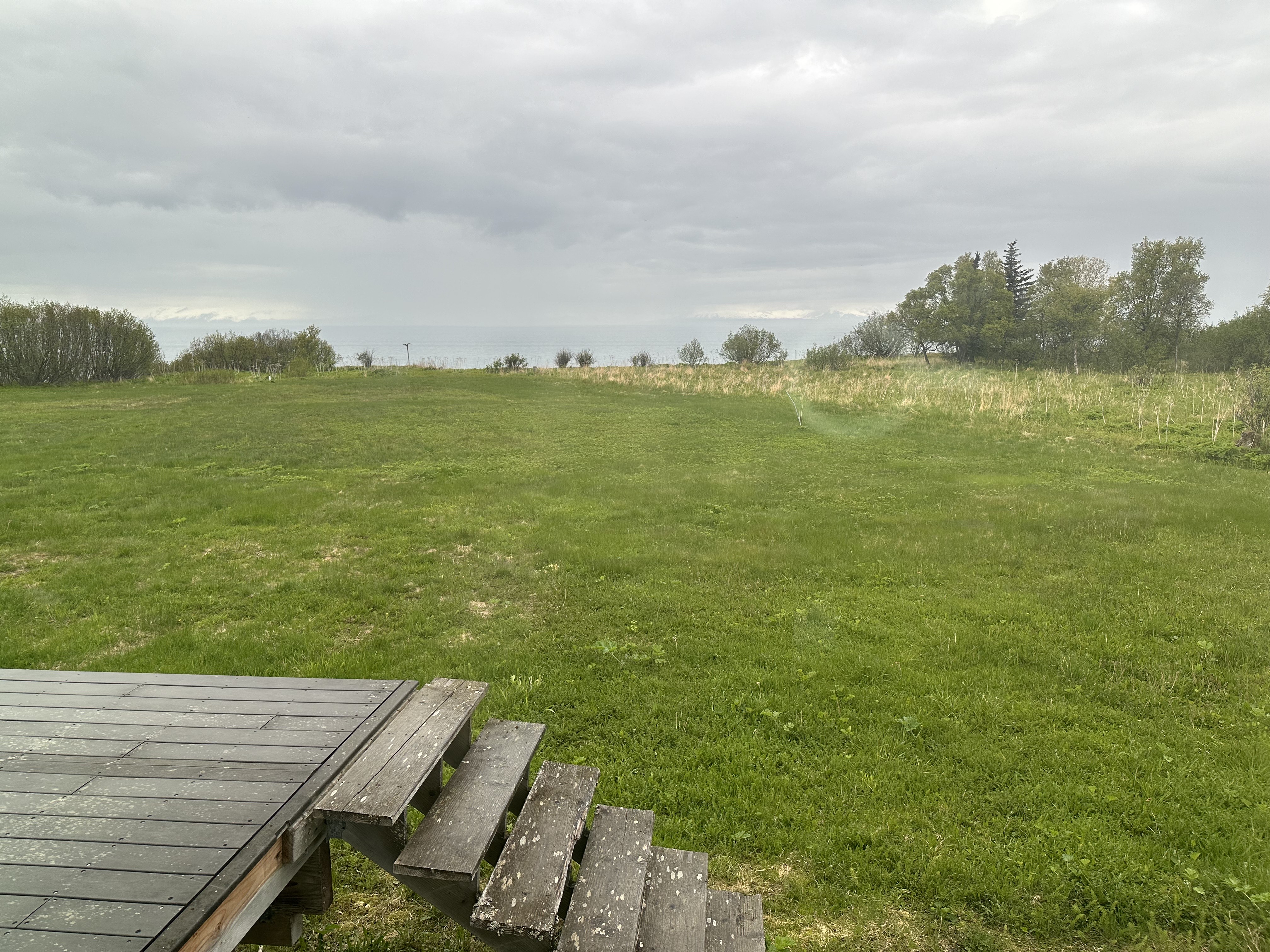 View 5