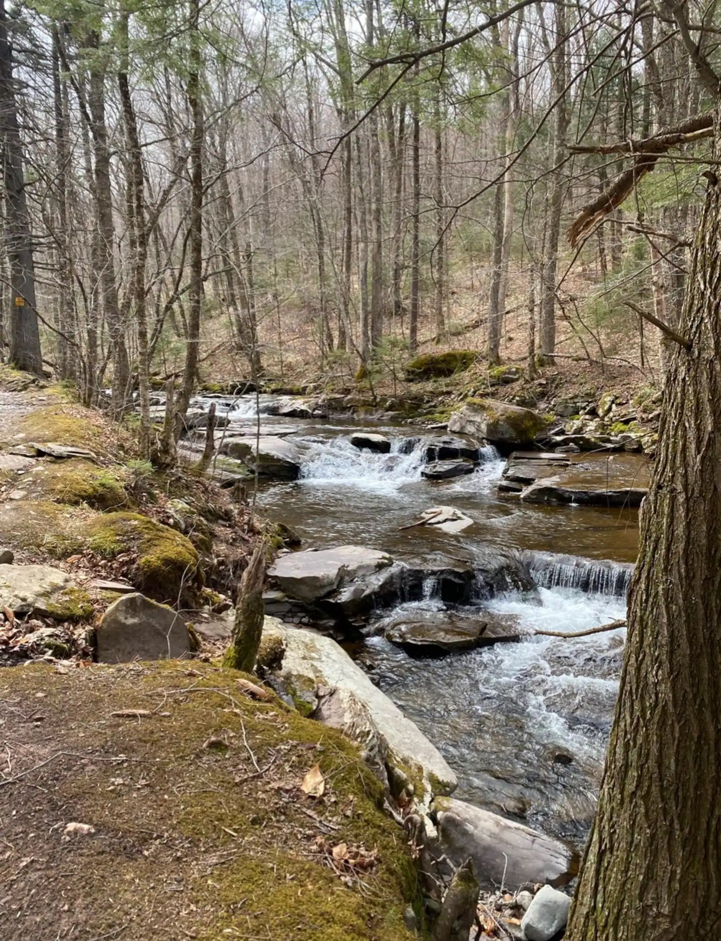 From nearby Diamond Notch Trail