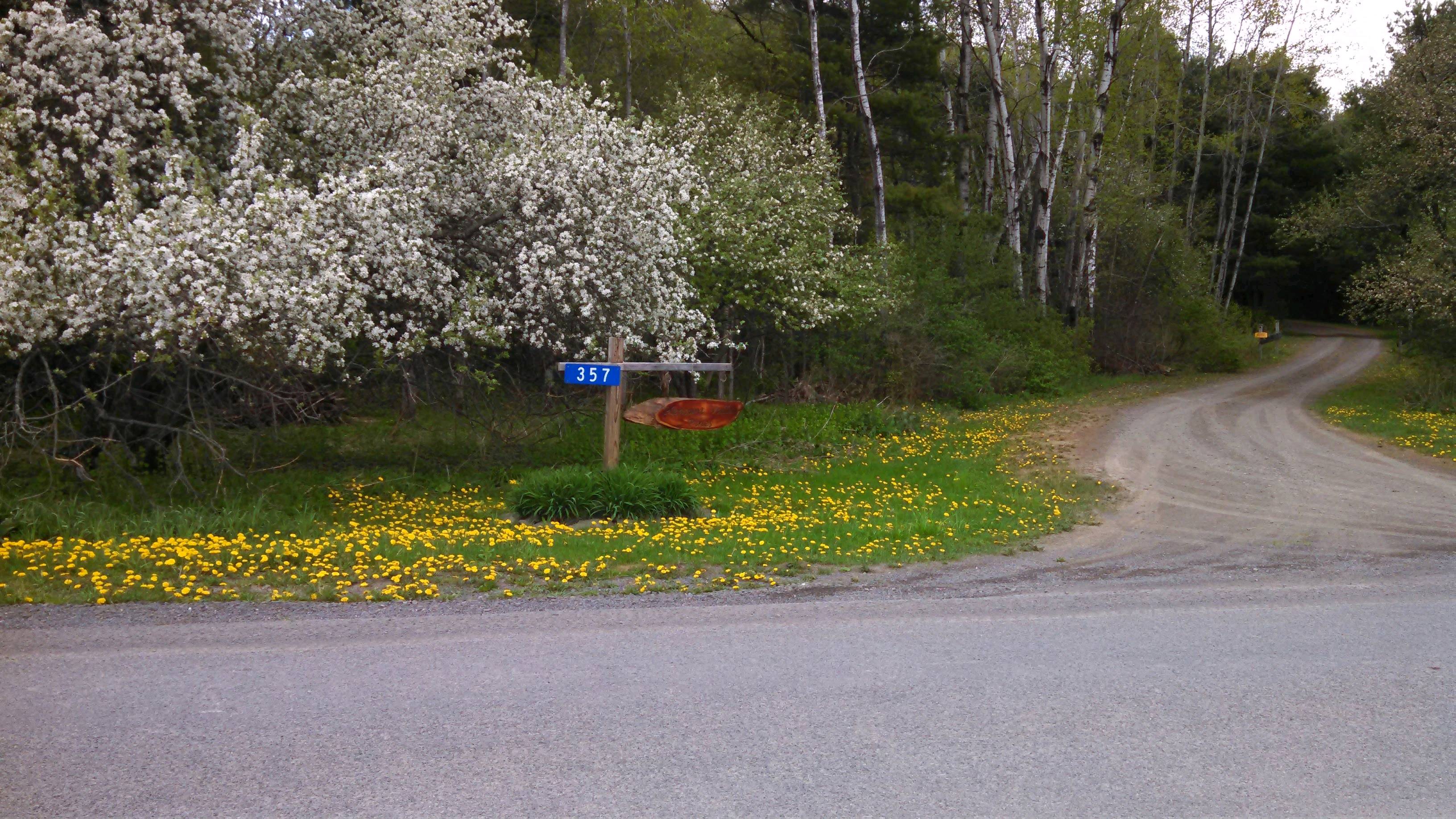 Pleasant Valley Pines driveway