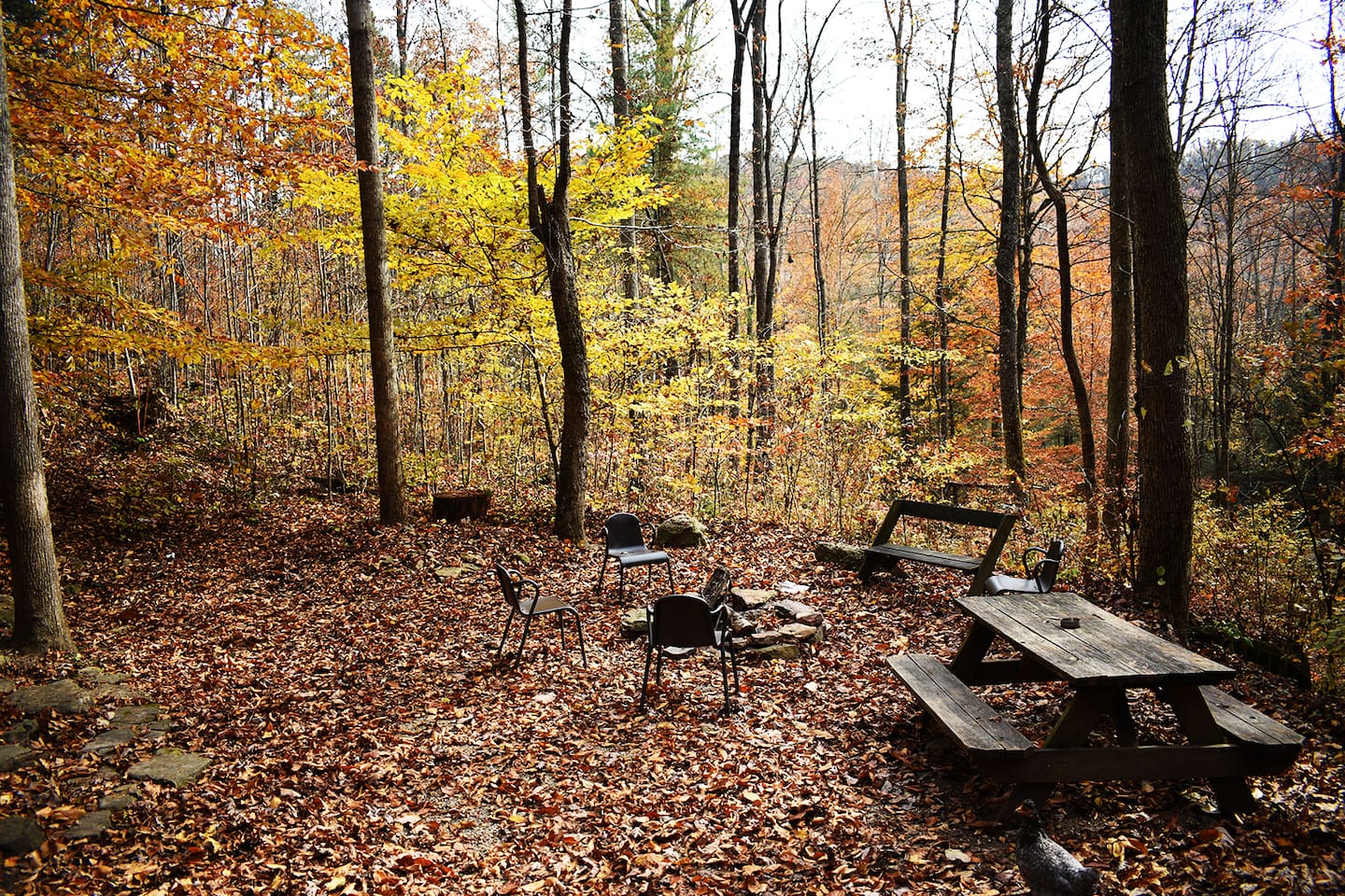 Flat hang out space with picnic table