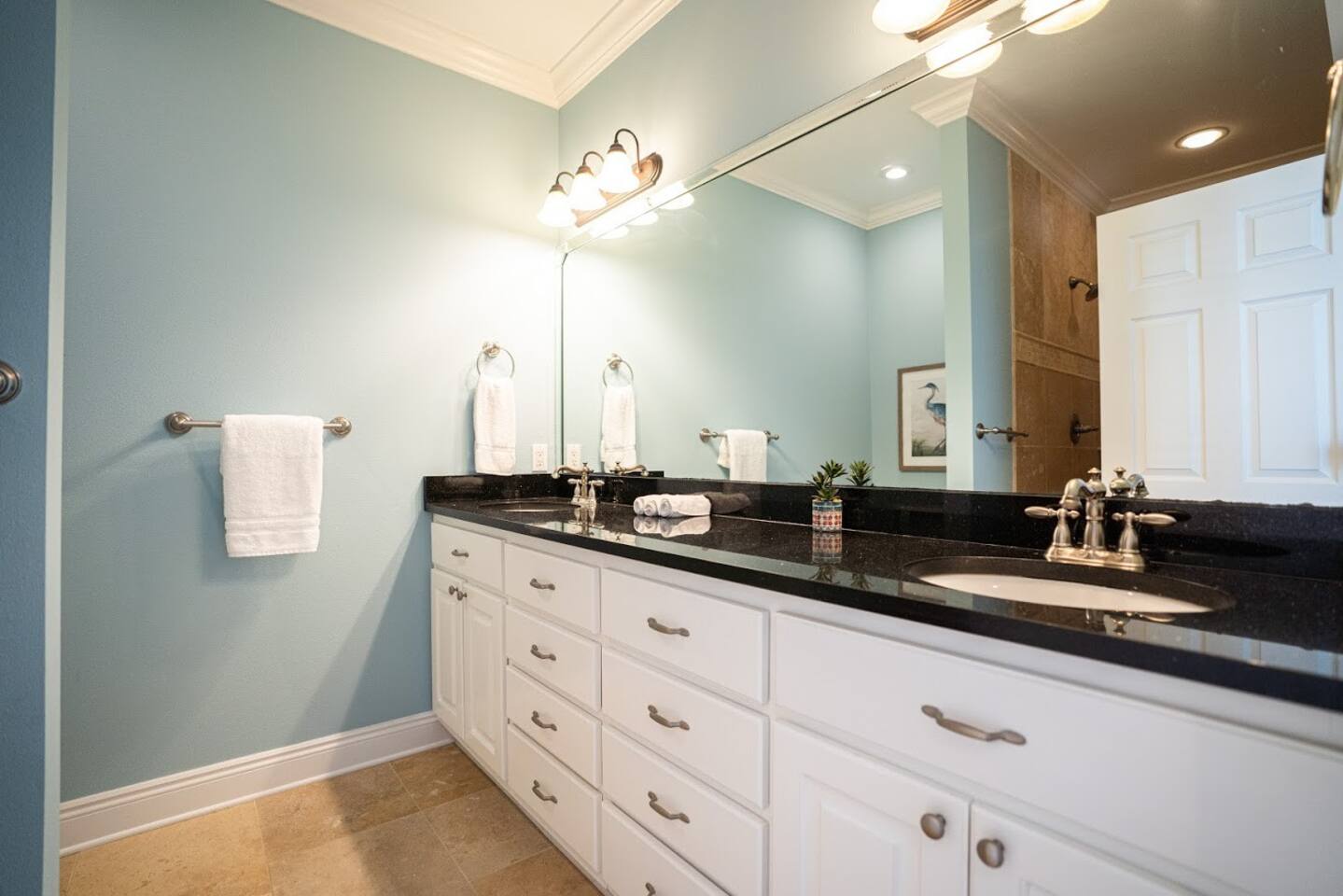 Master bathroom double vanity