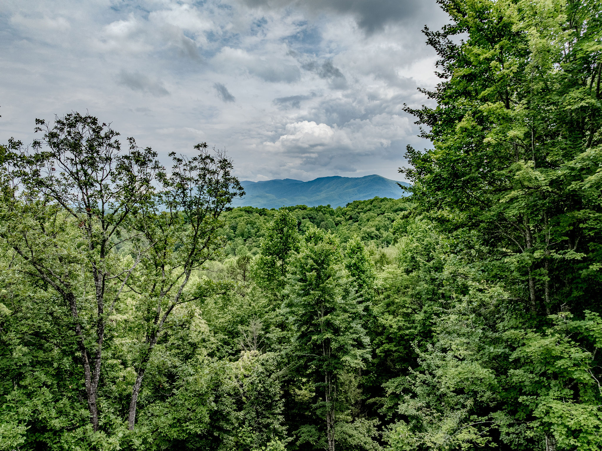 Blue Smoke Outpost offers a quiet Smoky Mountain home base for families, friends, and dog-friendly getaways.
