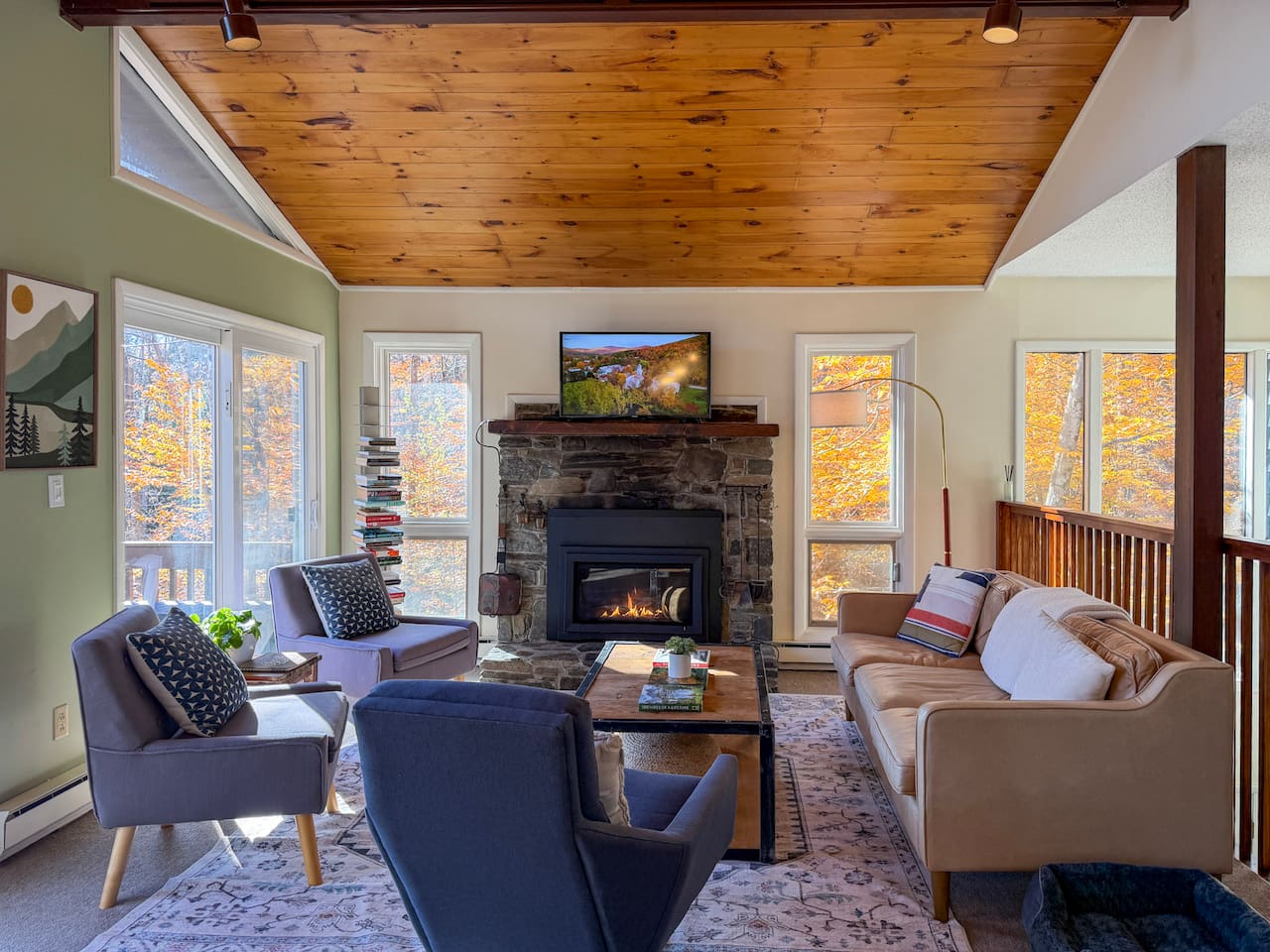 Watch a movie, read a book, or just relax by the fire!