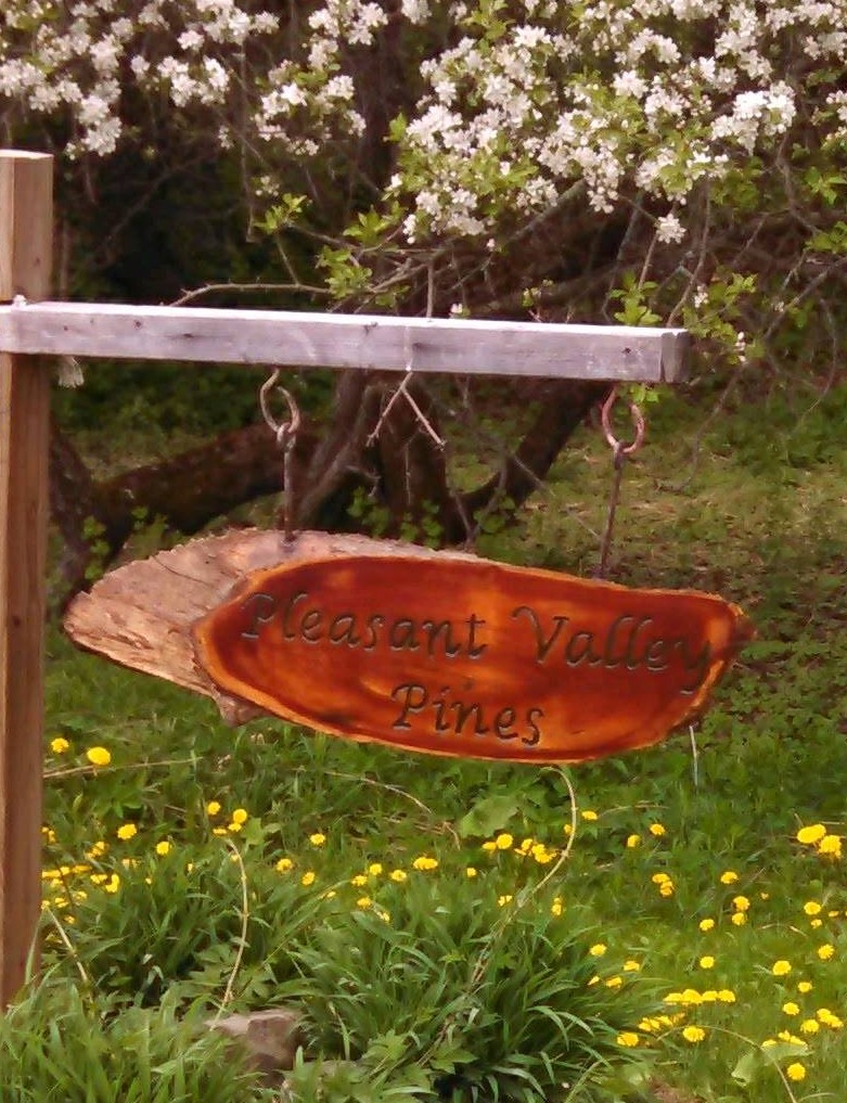 Pleasant Valley Pines