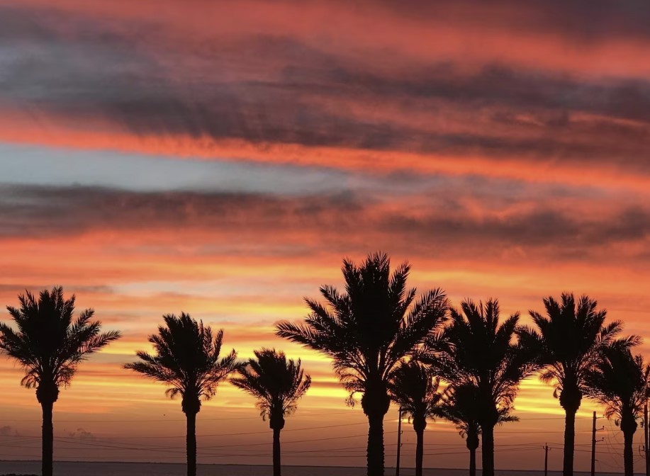 6d98993303b141dfbe07a182ba695bda | Beachhouse | Texas | TX | Vacation Homes | Galveston | Crystal Beach | Kokomo | Breezy Days | Beachfront Elegance | Sunrise Serenity | Southern Sands Property Management, LLC