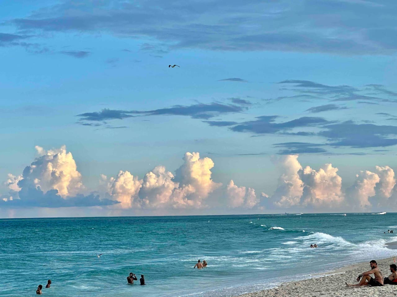 Haulover Beach