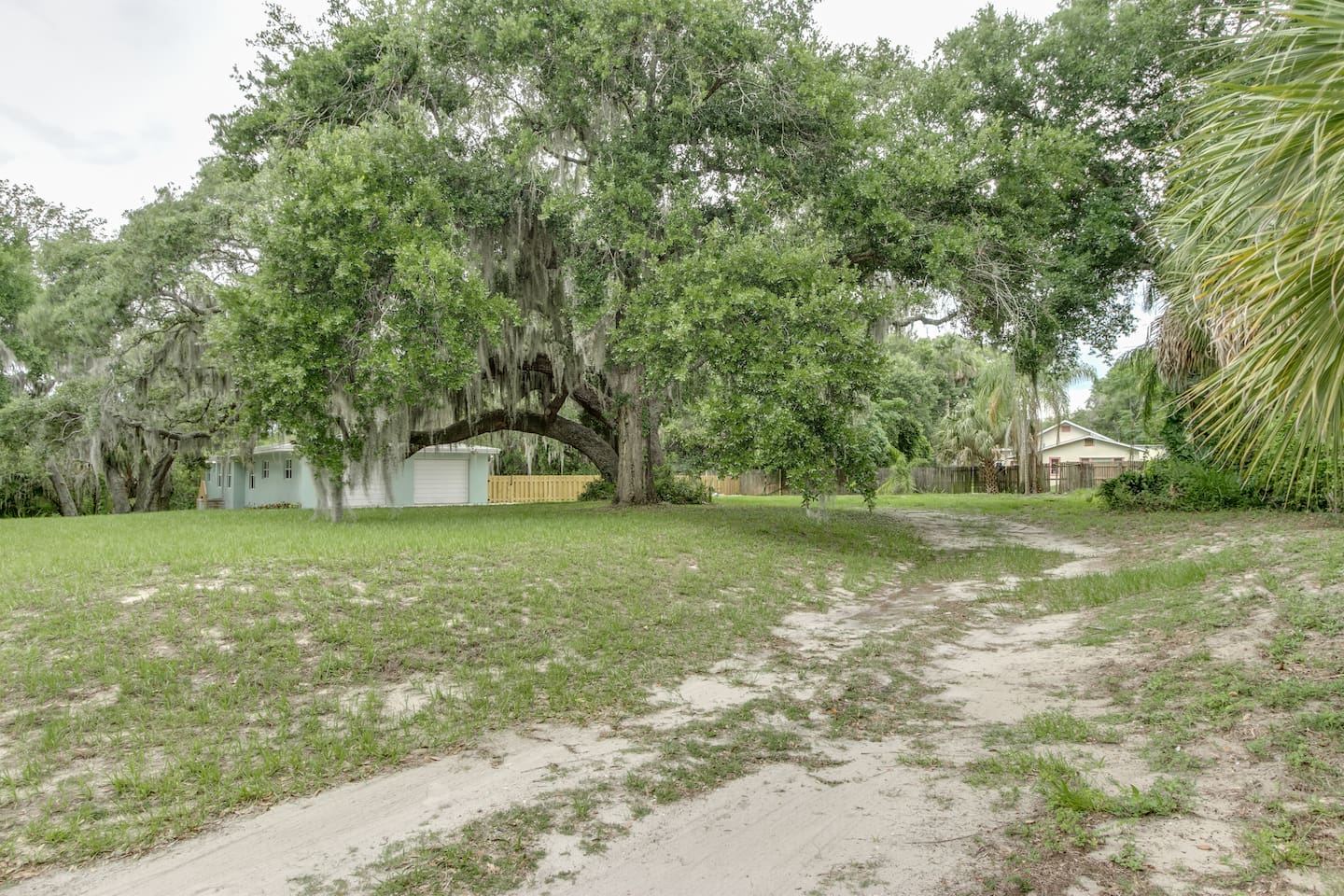 Gorgeous Old Oak with Spanish Moss - Circular Driveway around Tree