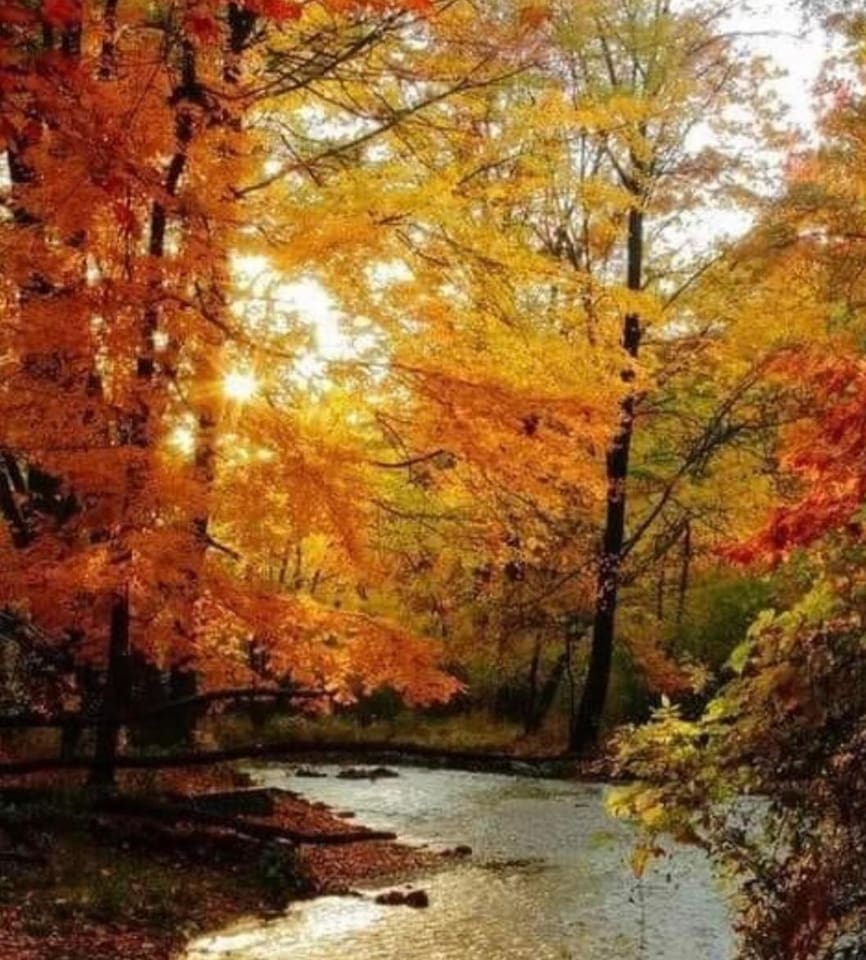 Color season 2022! Walk to the river.