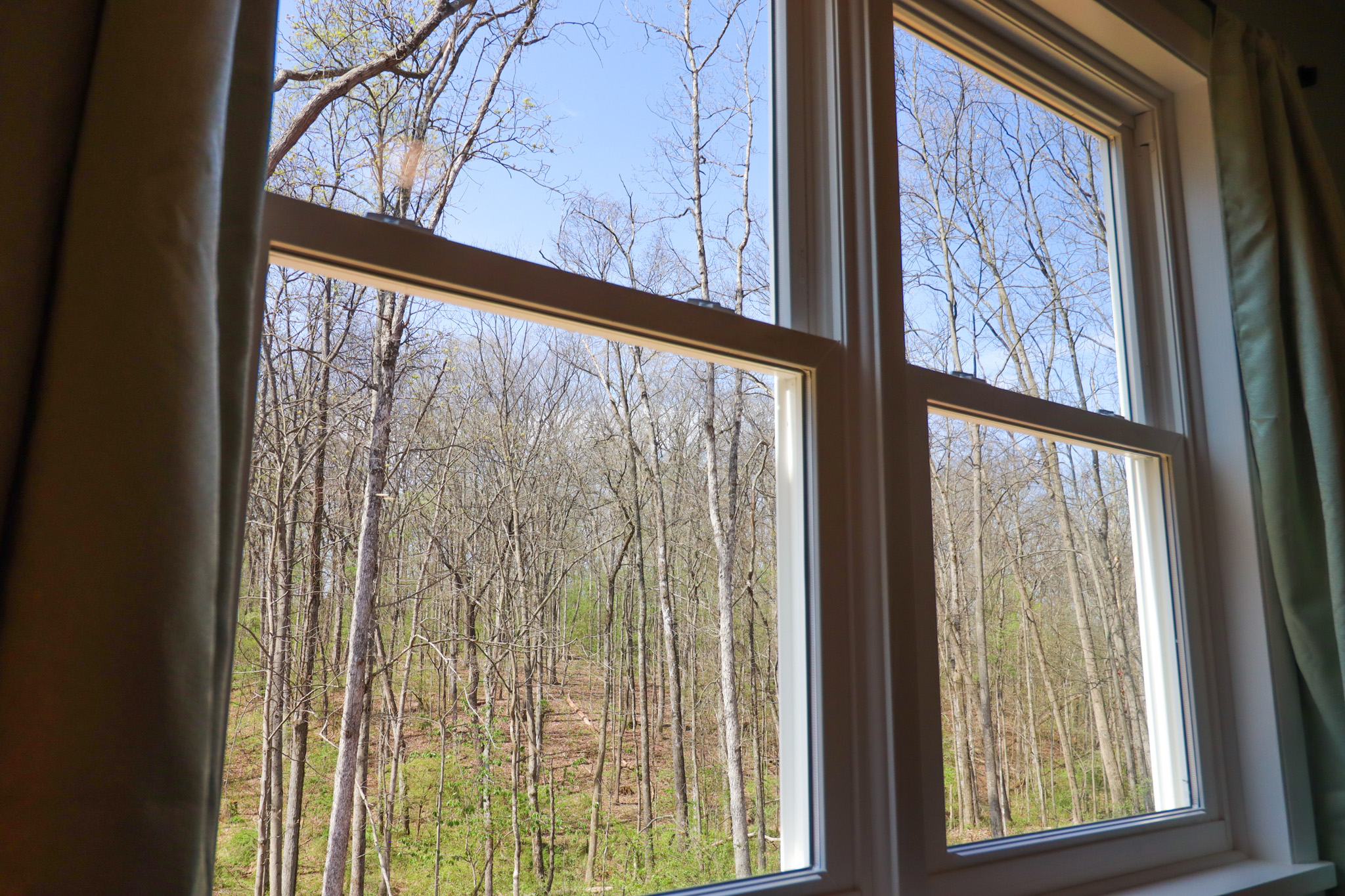 View out of twin bedroom of backyard and woods