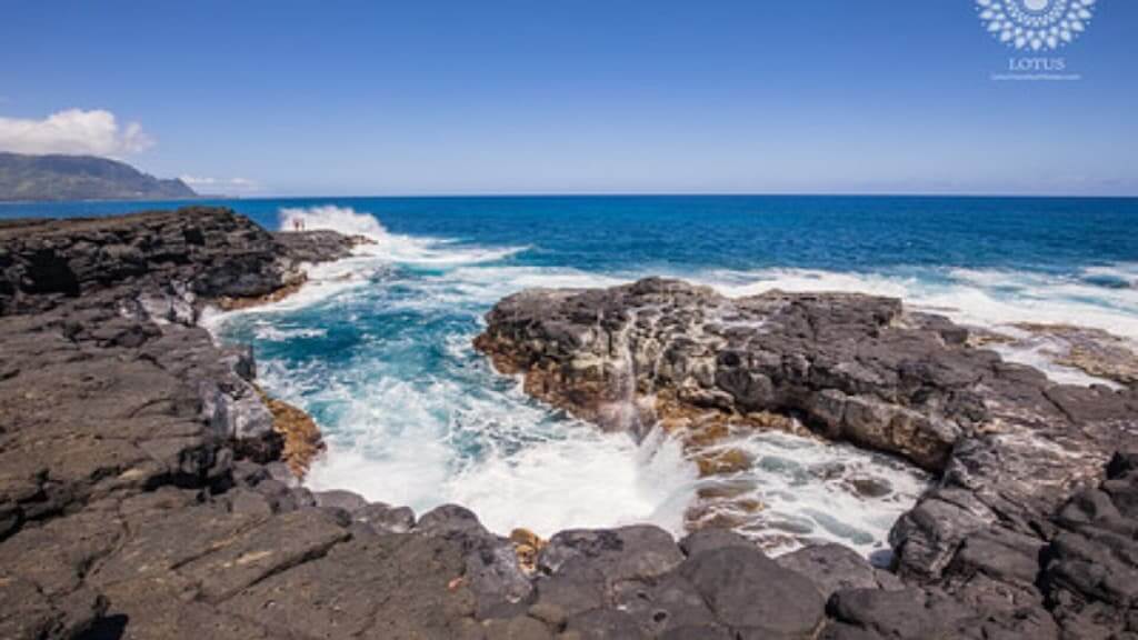 Queens Bath Lookout Pool Jacuzzi BBQ Lotus Property Management