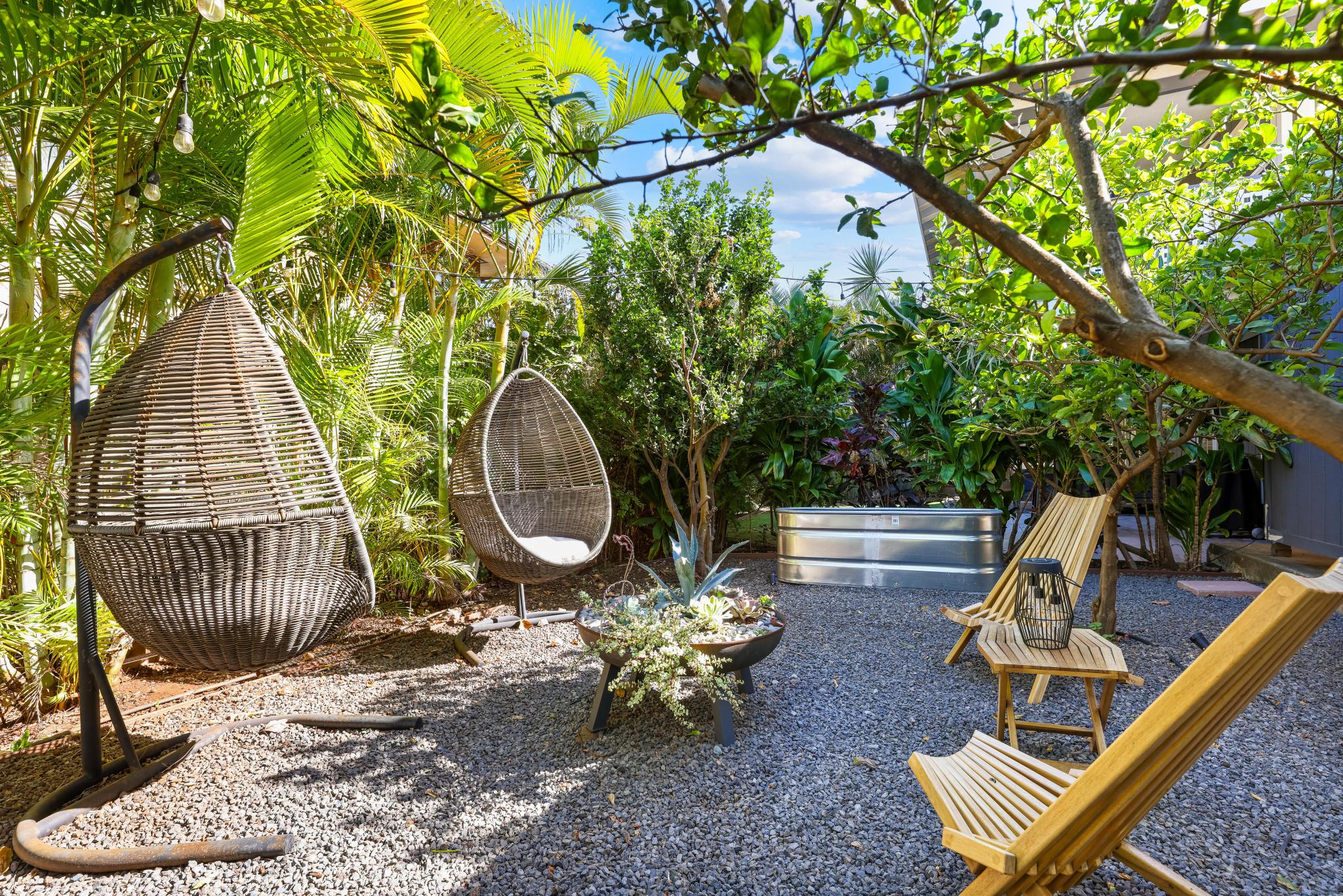 Succulent and Citrus Garden (common area)