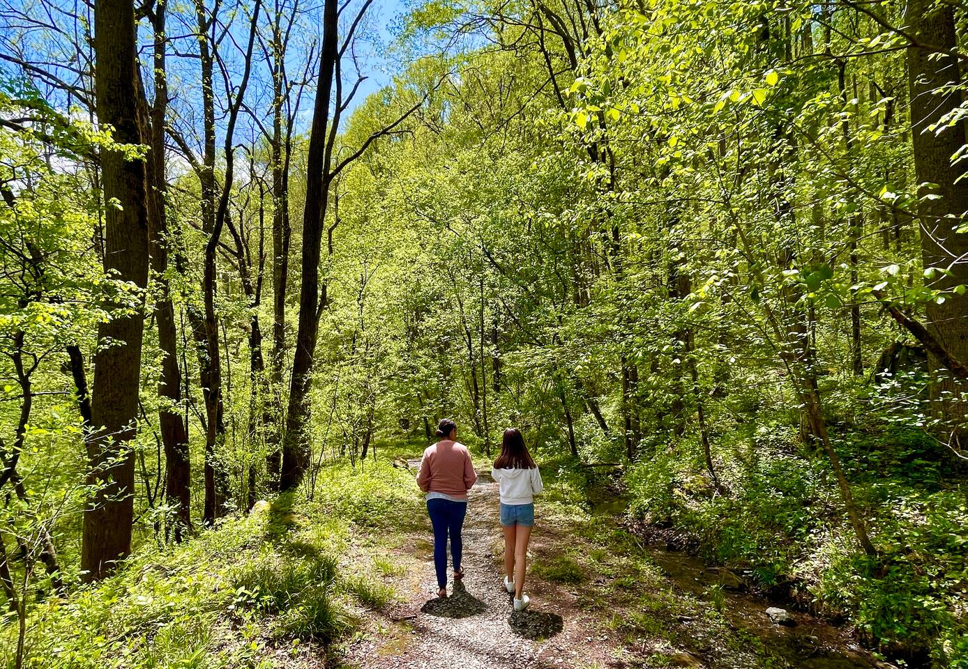Hiking paths easy for family's are everywhere. The only question is: what will you talk about and discover on these paths?