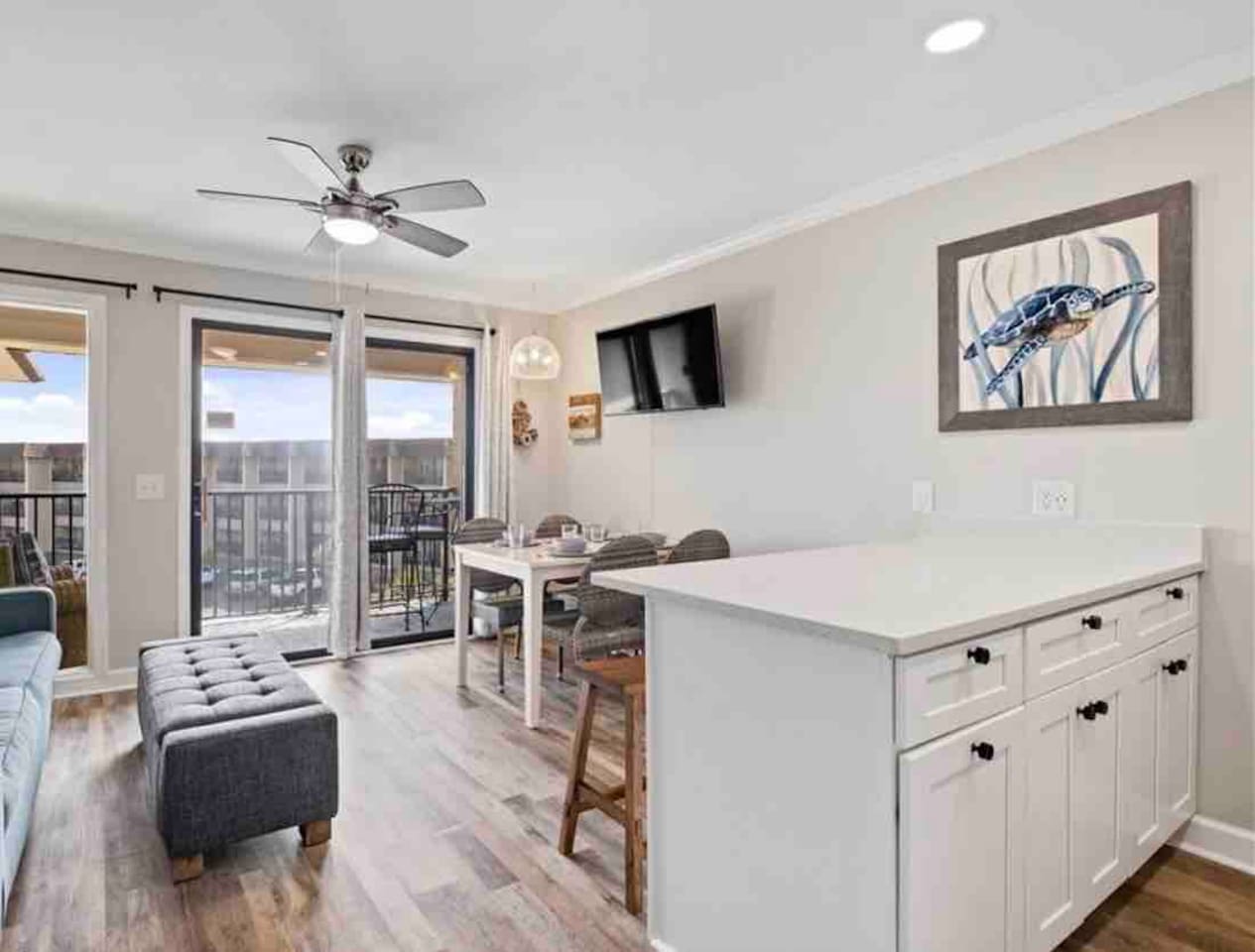 Kitchen island and living area