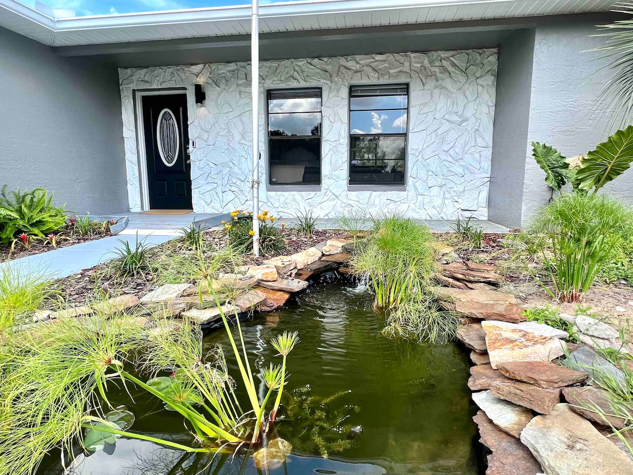Watch frogs come visit our pond as you listen to the soothing waterfall ambient sounds. 
