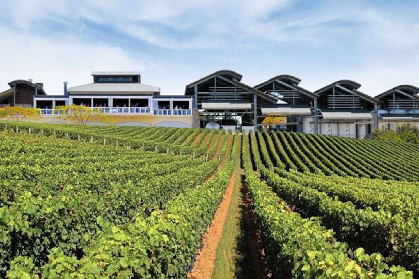Sirromet Winery is a beautiful location to enjoy an afternoon glass of wine or romantic dinner and is just 15 min drive away from the house. This is also a venue for big name concerts. 