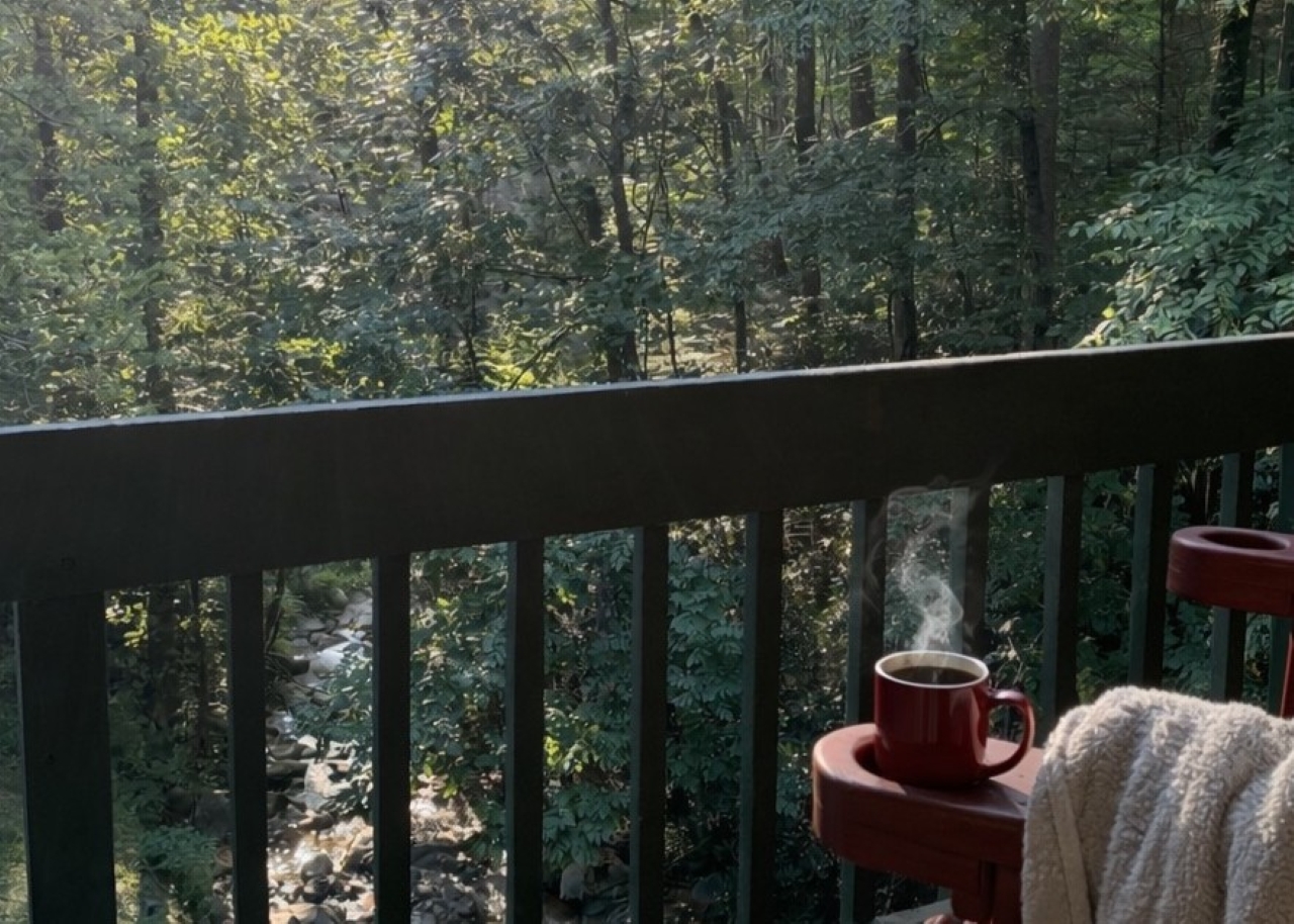 The tall glider adirondack chairs on the balcony will be your favorite place to enjoy your morning coffee while the sounds of creek below soothe your mind.   Watch out for bear coming to enjoy the creek.