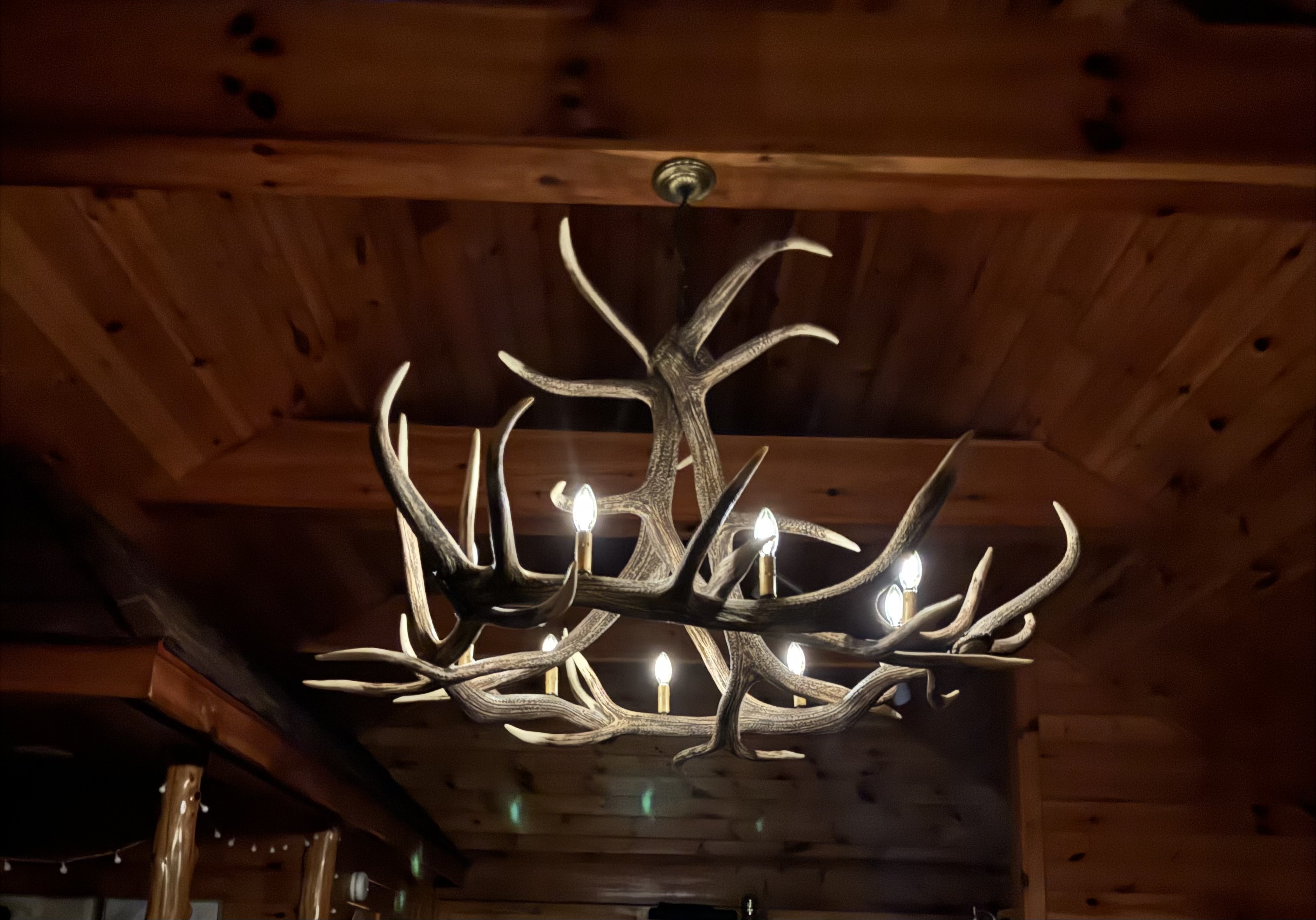 Antler chandelier with dimmer